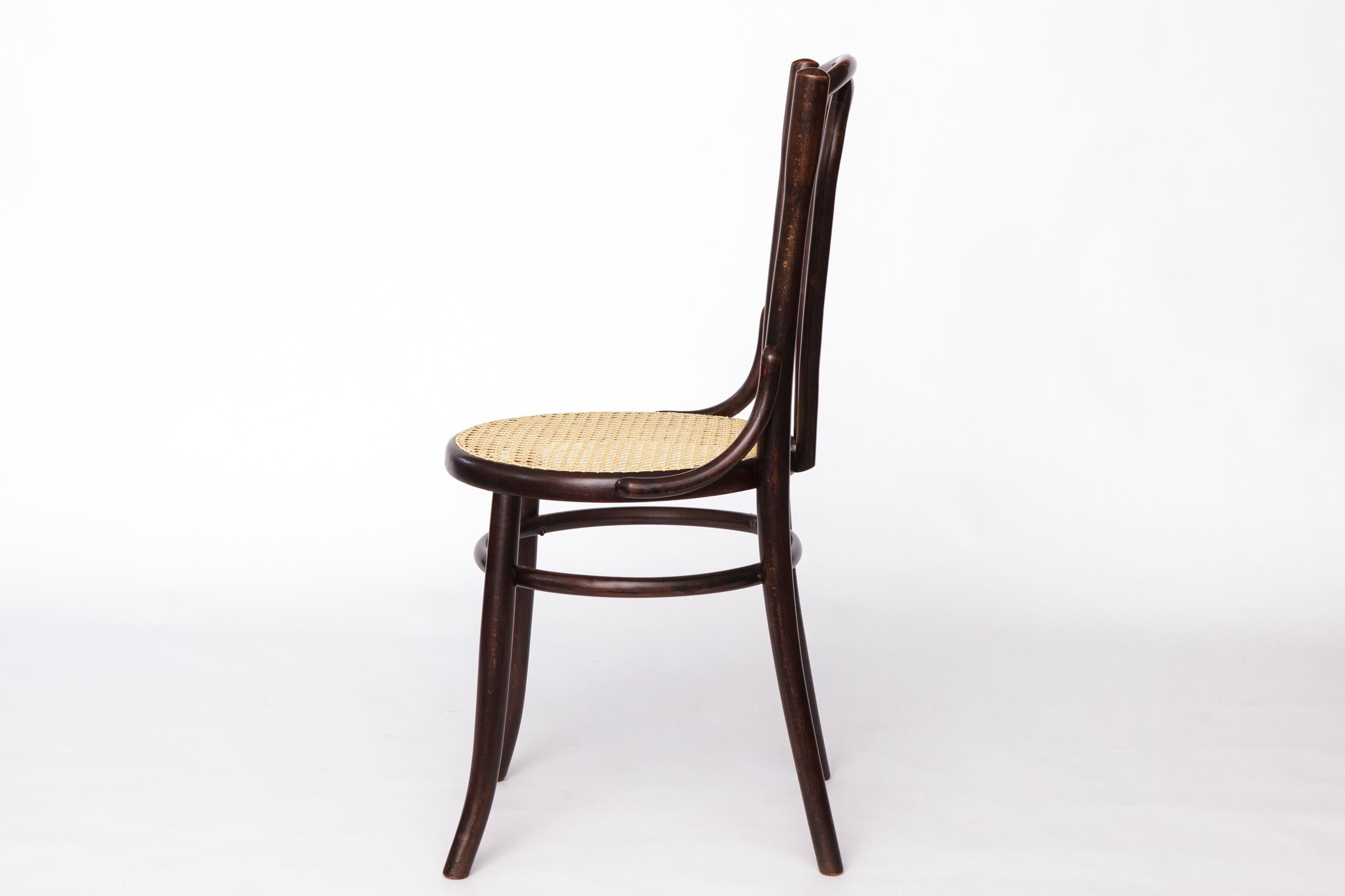 Polished Fischel Bentwood Chair – Early 20th Century Thonet Style, Beechwood Frame For Sale