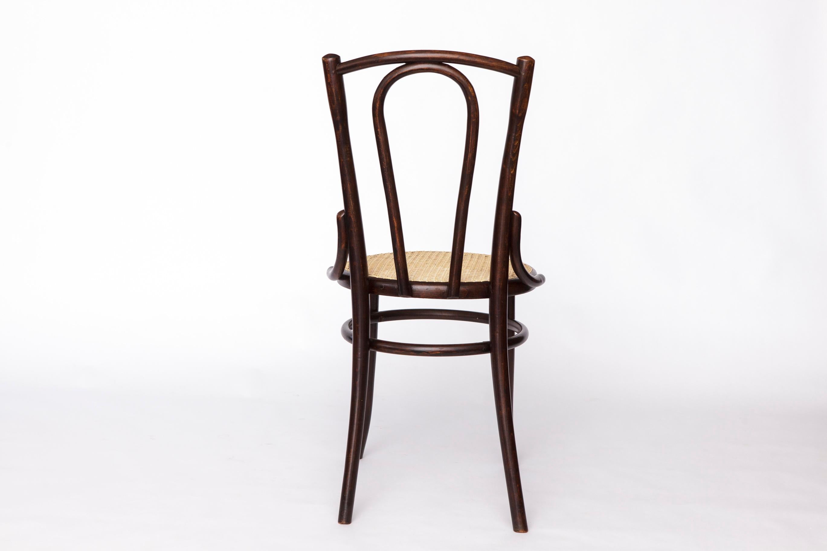 Fischel Bentwood Chair – Early 20th Century Thonet Style, Beechwood Frame In Good Condition For Sale In Hannover, DE