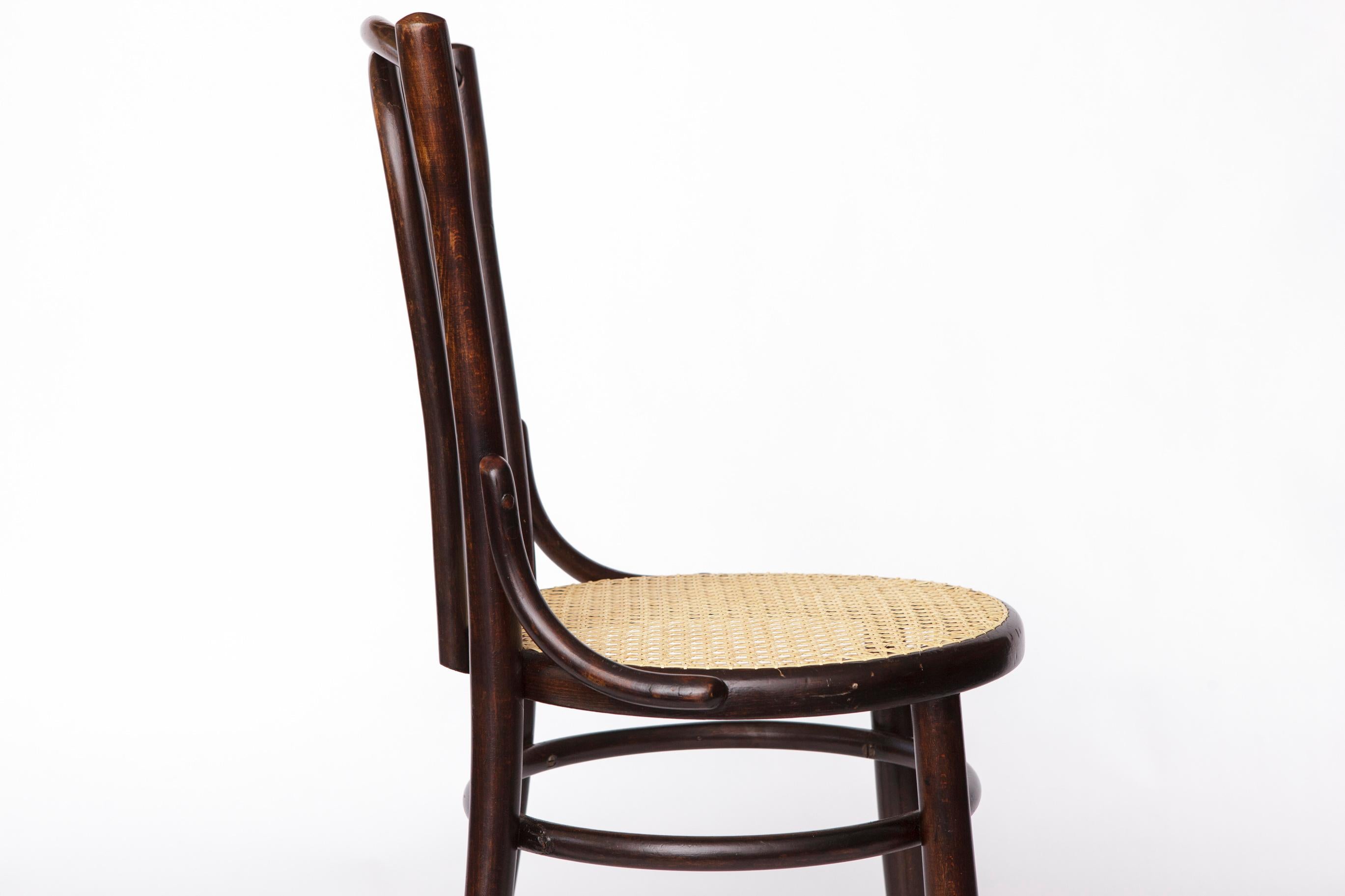 Fischel Bentwood Chair – Early 20th Century Thonet Style, Beechwood Frame For Sale 1