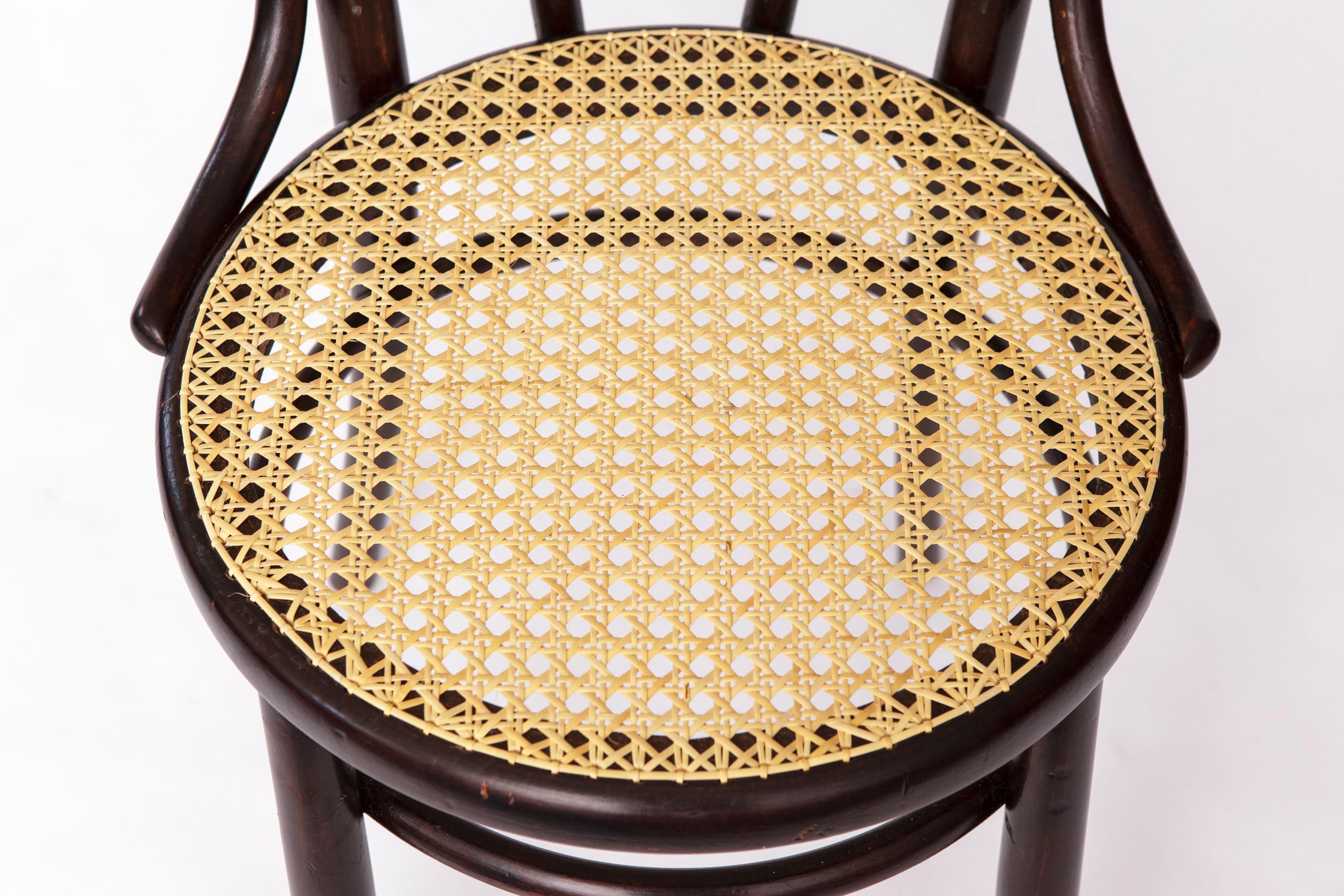 Fischel Bentwood Chair – Early 20th Century Thonet Style, Beechwood Frame For Sale 2