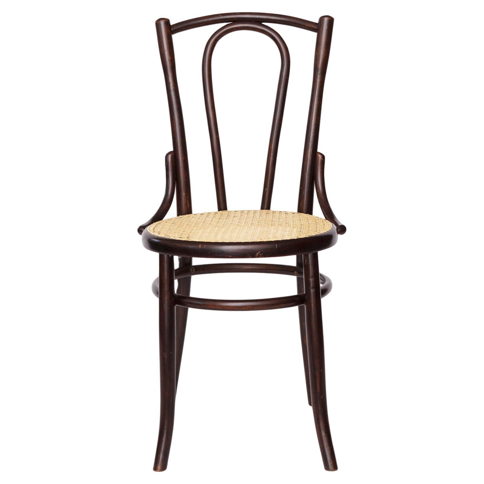 Fischel Bentwood Chair – Early 20th Century Thonet Style, Beechwood Frame For Sale