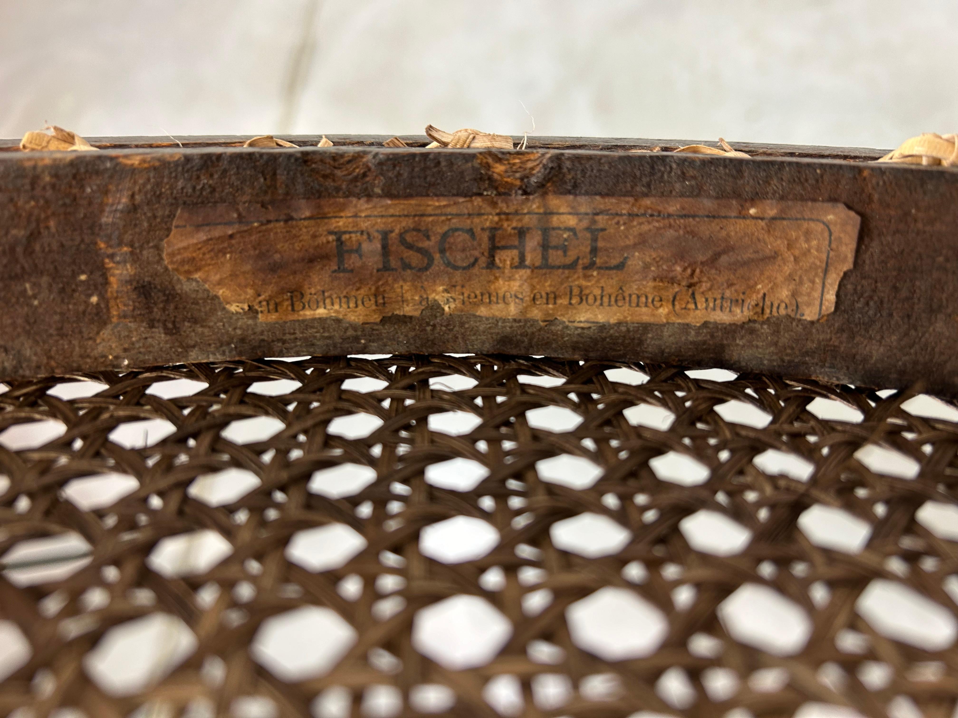 Rattan Sedia da pranzo Fischel nr.31 in vendita