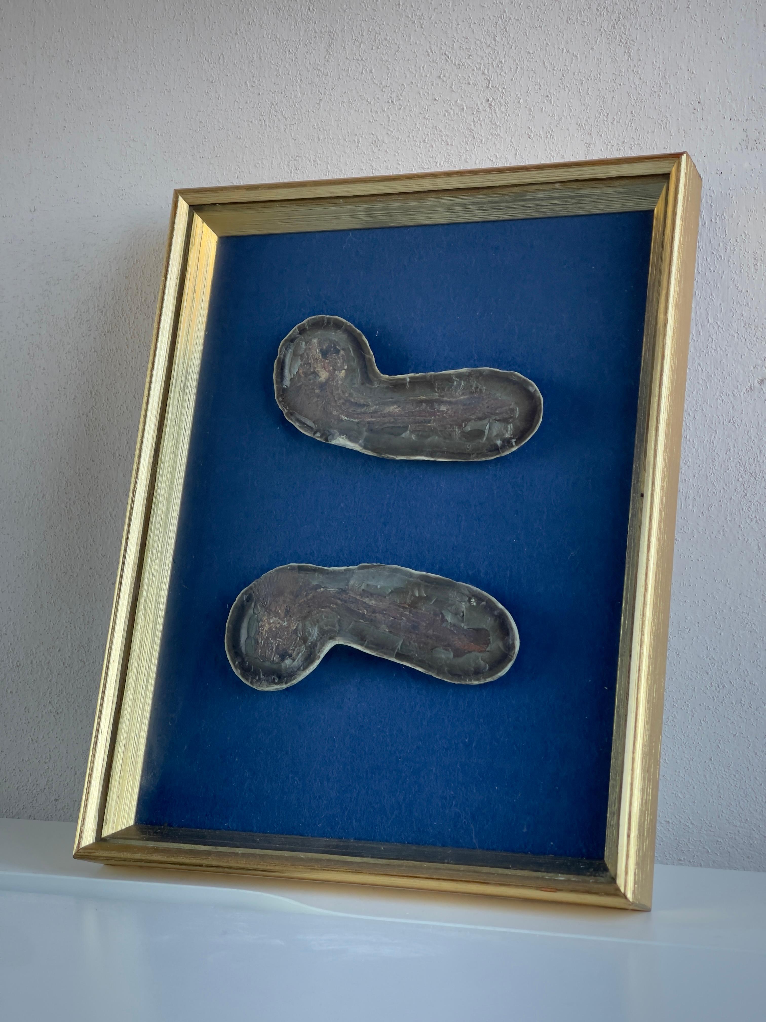 Fish fossil in golden frame from Disco Island, Godthåb fjord in Greenland 50mill In Good Condition For Sale In København K, 84