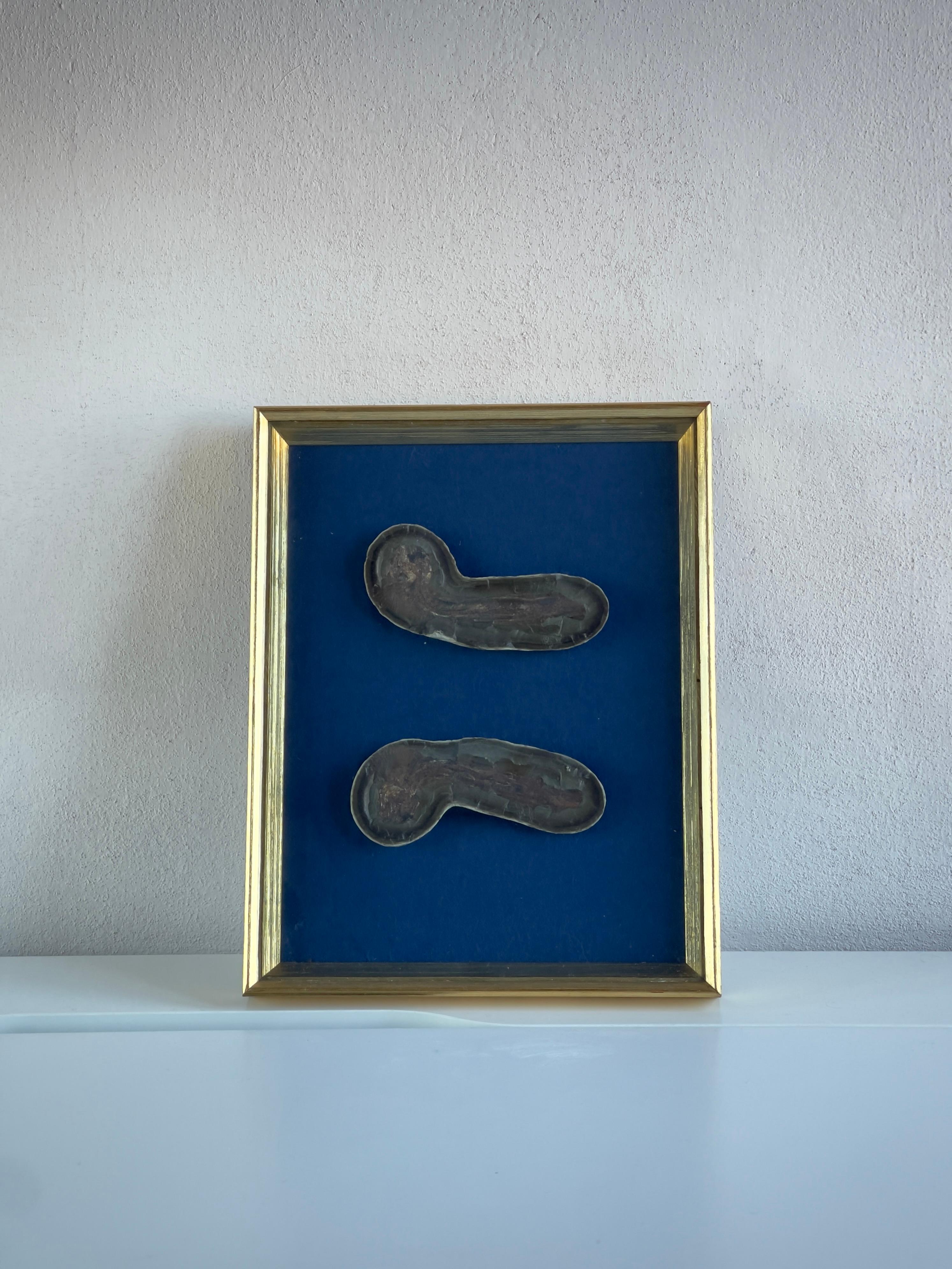 20th Century Fish fossil in golden frame from Disco Island, Godthåb fjord in Greenland 50mill For Sale