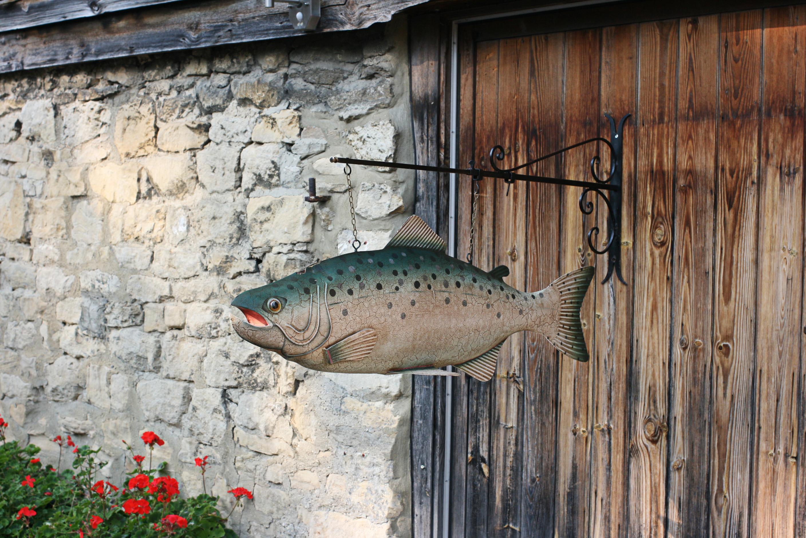 Shop sign fish model with wall bracket.
A painted 3 dimentional hollow tin fish with fins on a wrought-iron wall bracket. The fish was most probably made as a shop sign possibly for a Fishmongers, Tackle Shop, Fish & Chip Shop or even a pub sign.