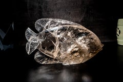 Fish Sculpture in Natural Clear Quartz Crystal