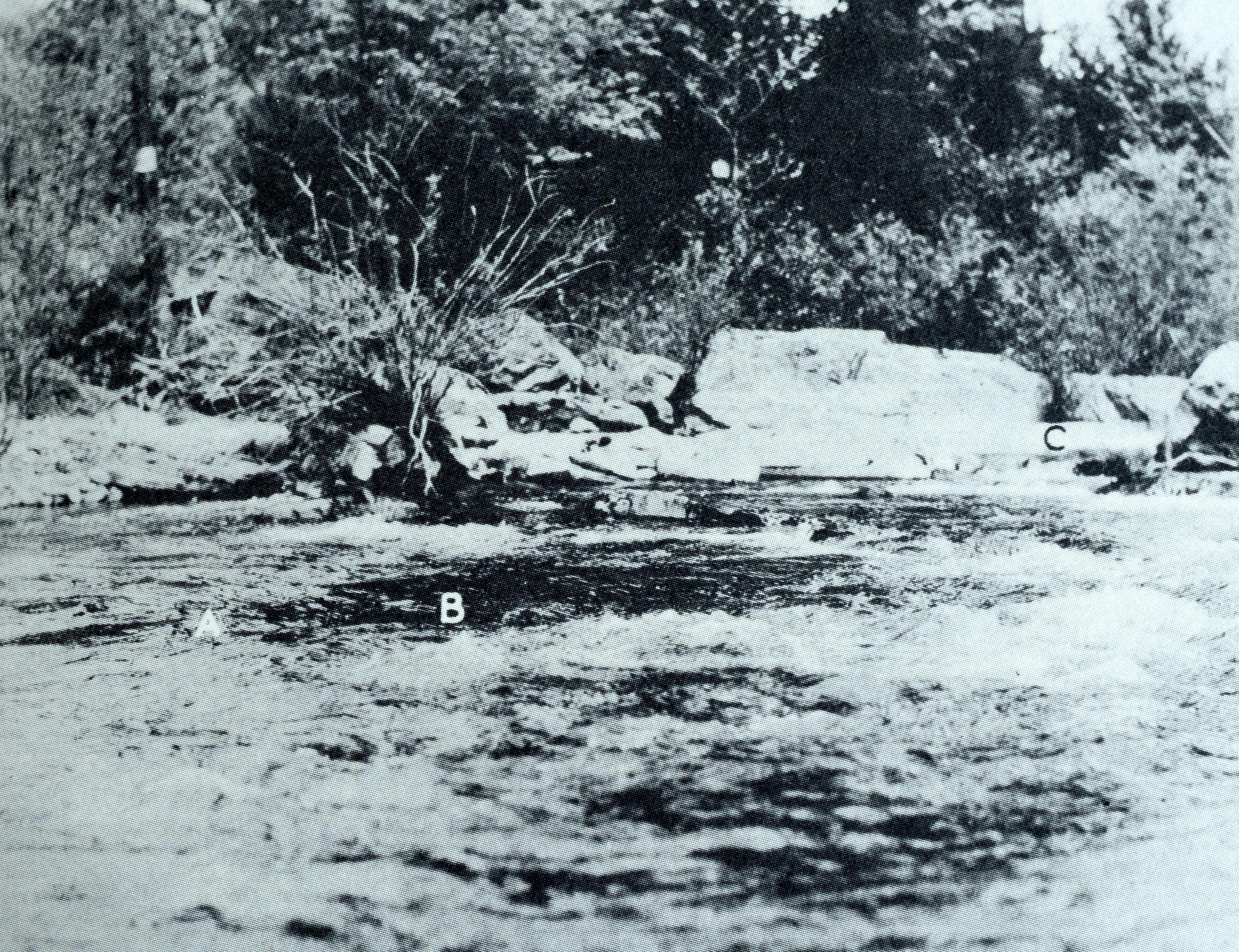 Fishing a Trout Stream von E. Connett, Limitierte Auflage, 1/2500, mit Schuber im Angebot 4