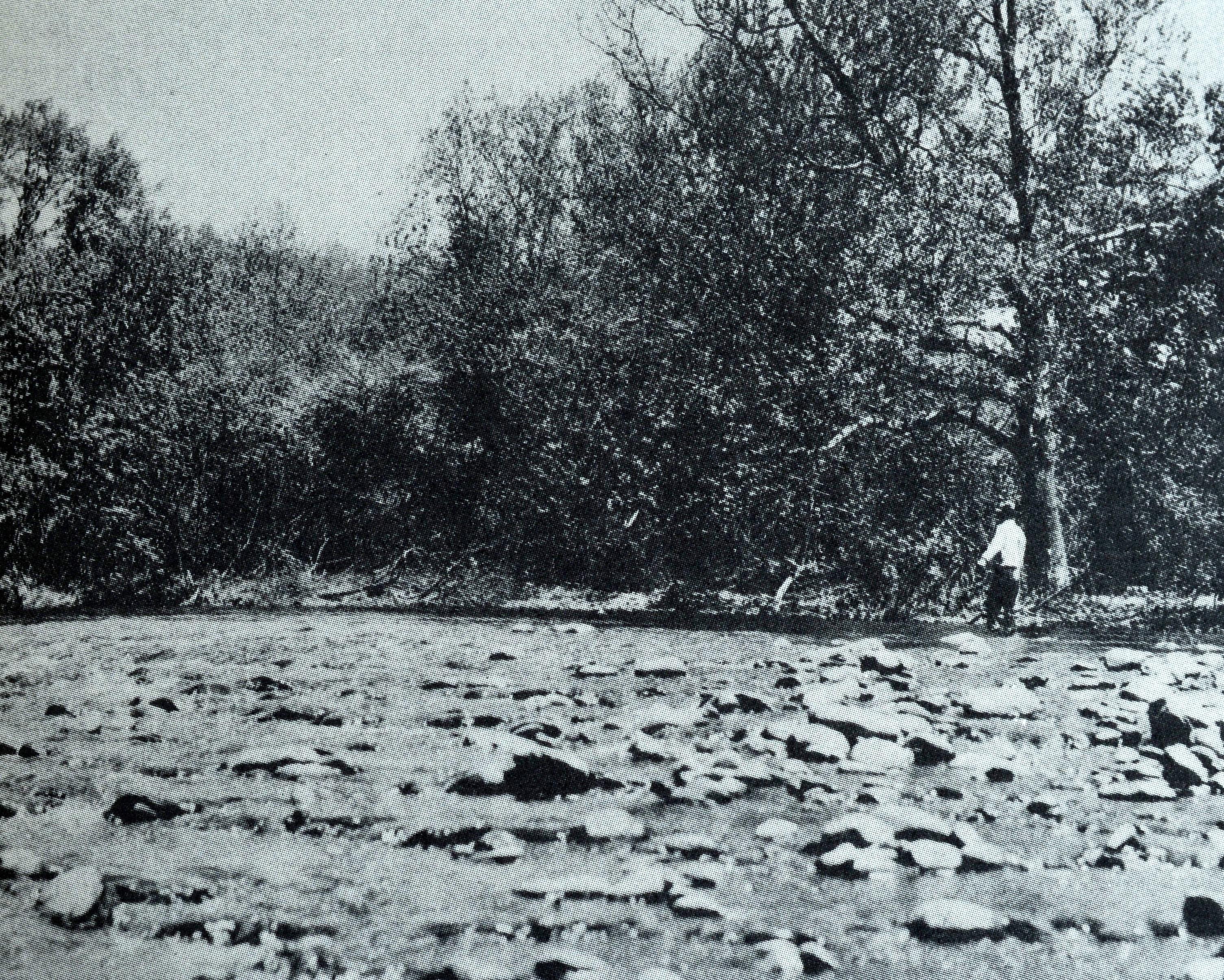Fishing a Trout Stream von E. Connett, Limitierte Auflage, 1/2500, mit Schuber im Angebot 6