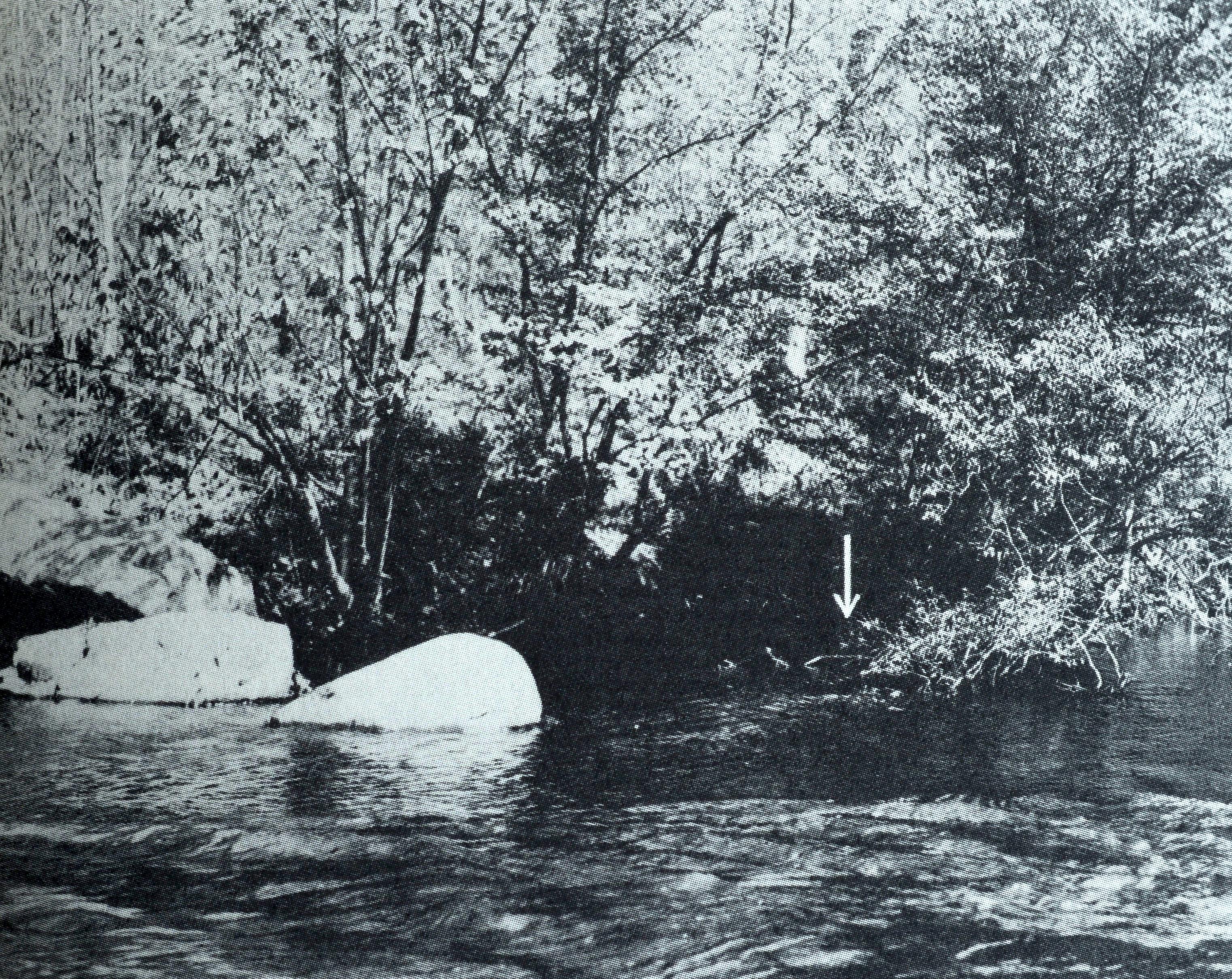 Fishing a Trout Stream von E. Connett, Limitierte Auflage, 1/2500, mit Schuber im Angebot 9
