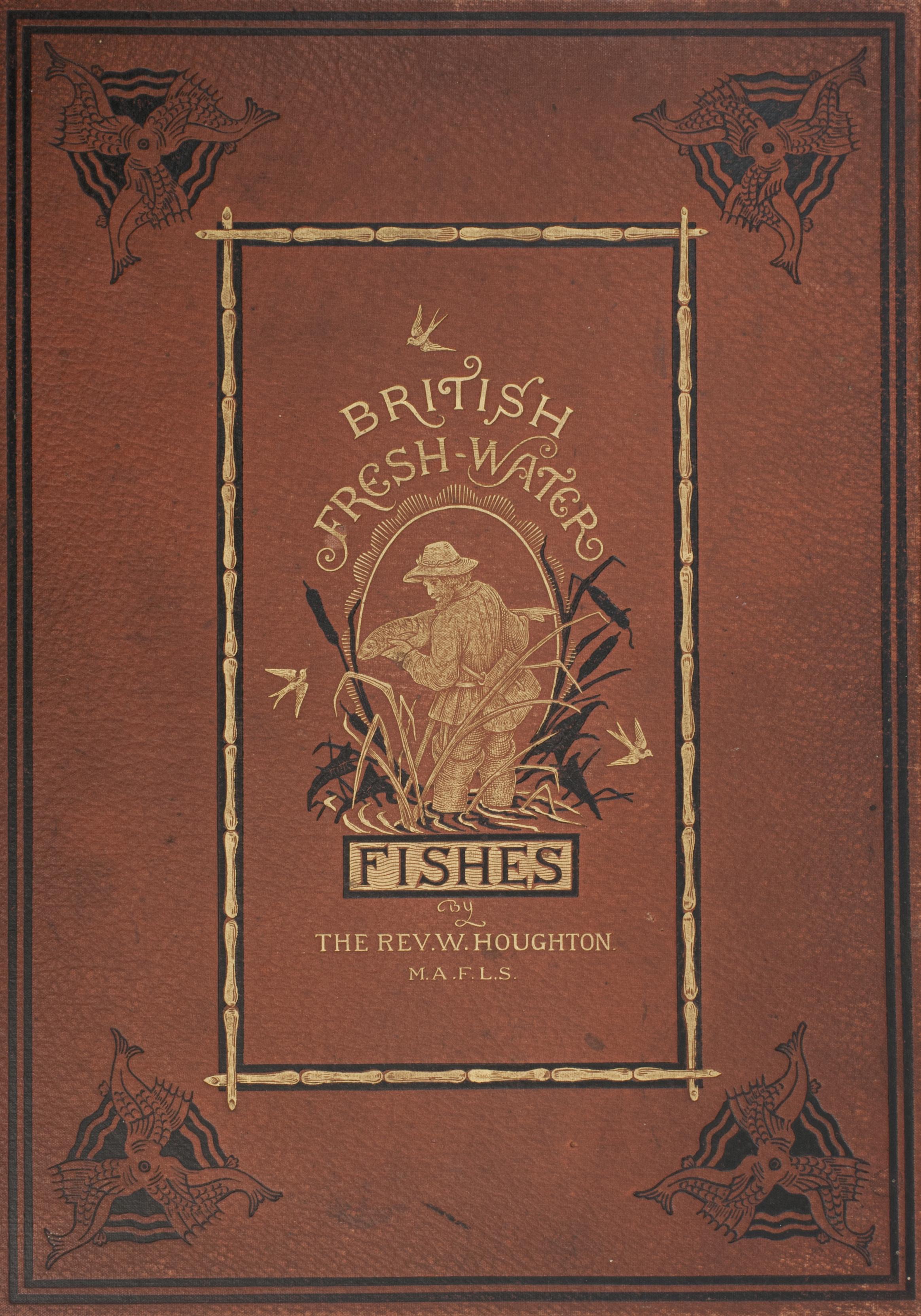 Fishing Book, British Fresh Water Fishes For Sale 4