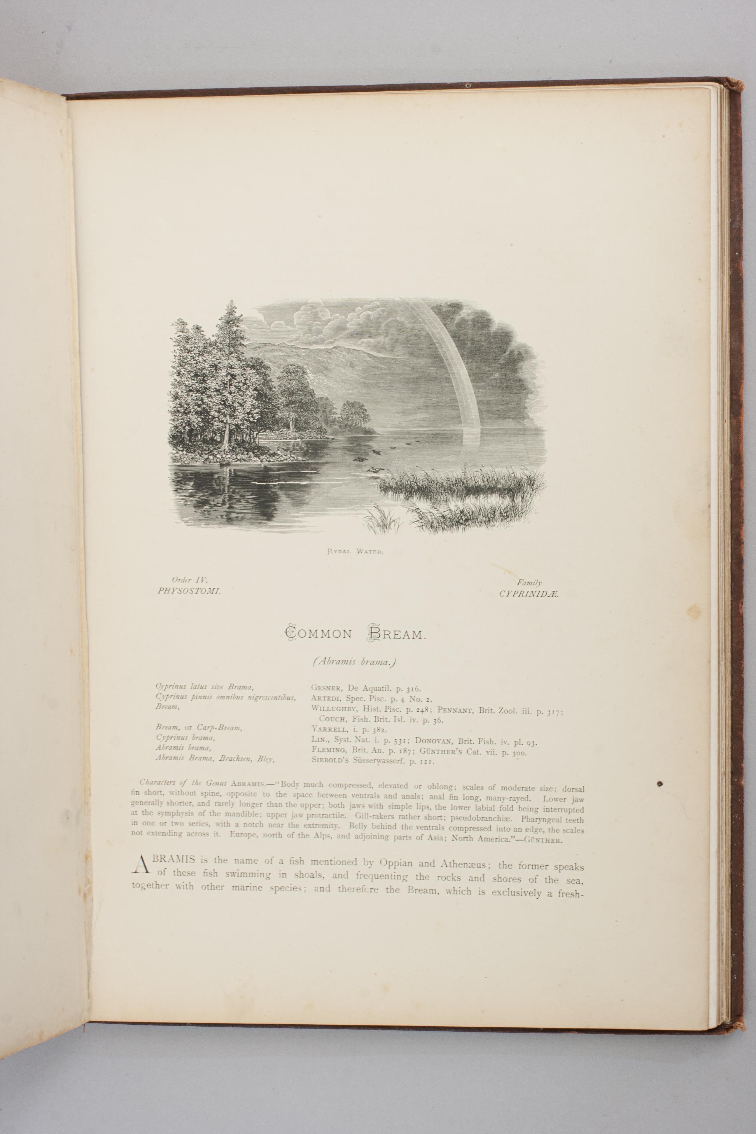 Fishing Book, British Fresh Water Fishes For Sale 10