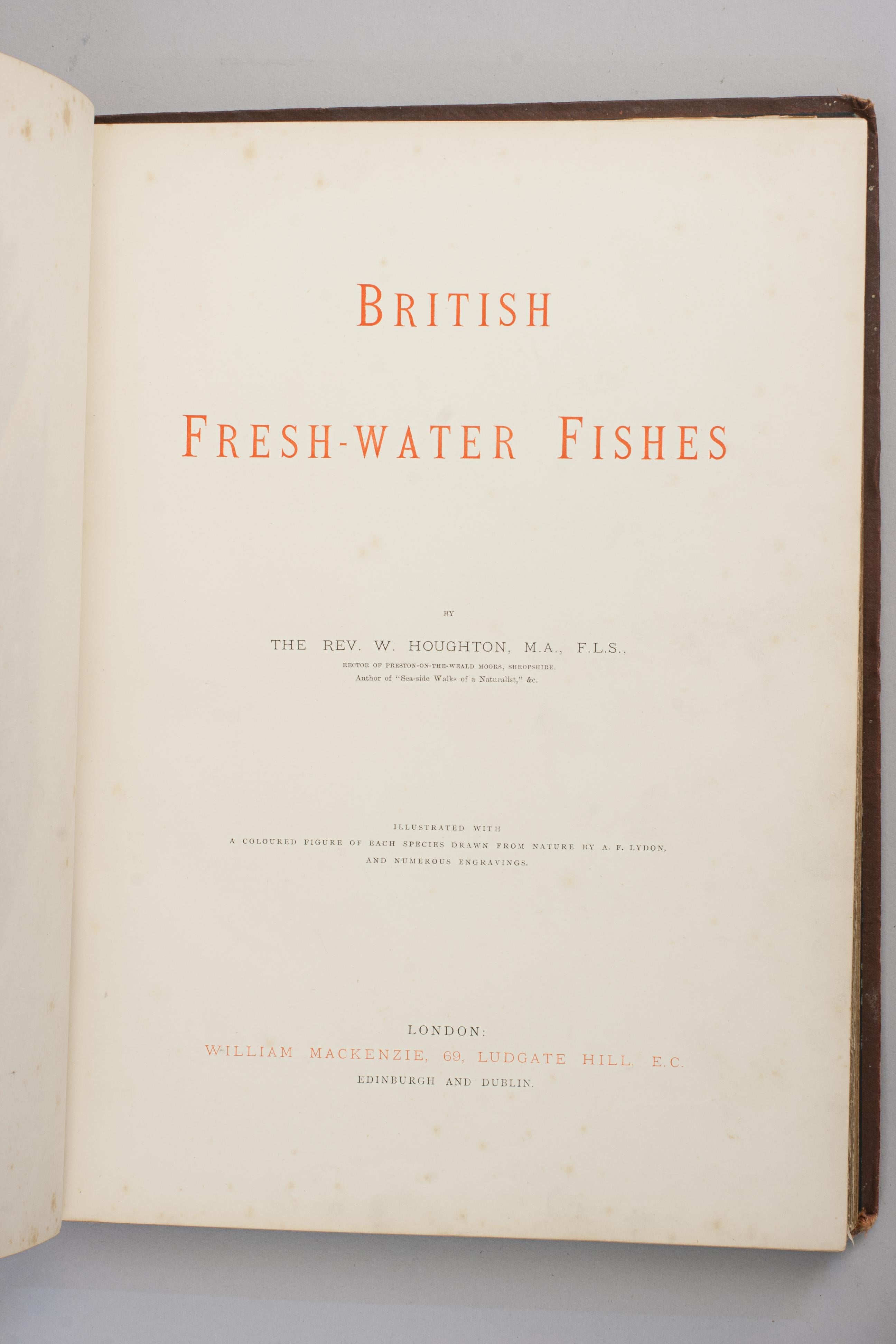 19th Century Fishing Book, British Fresh Water Fishes For Sale