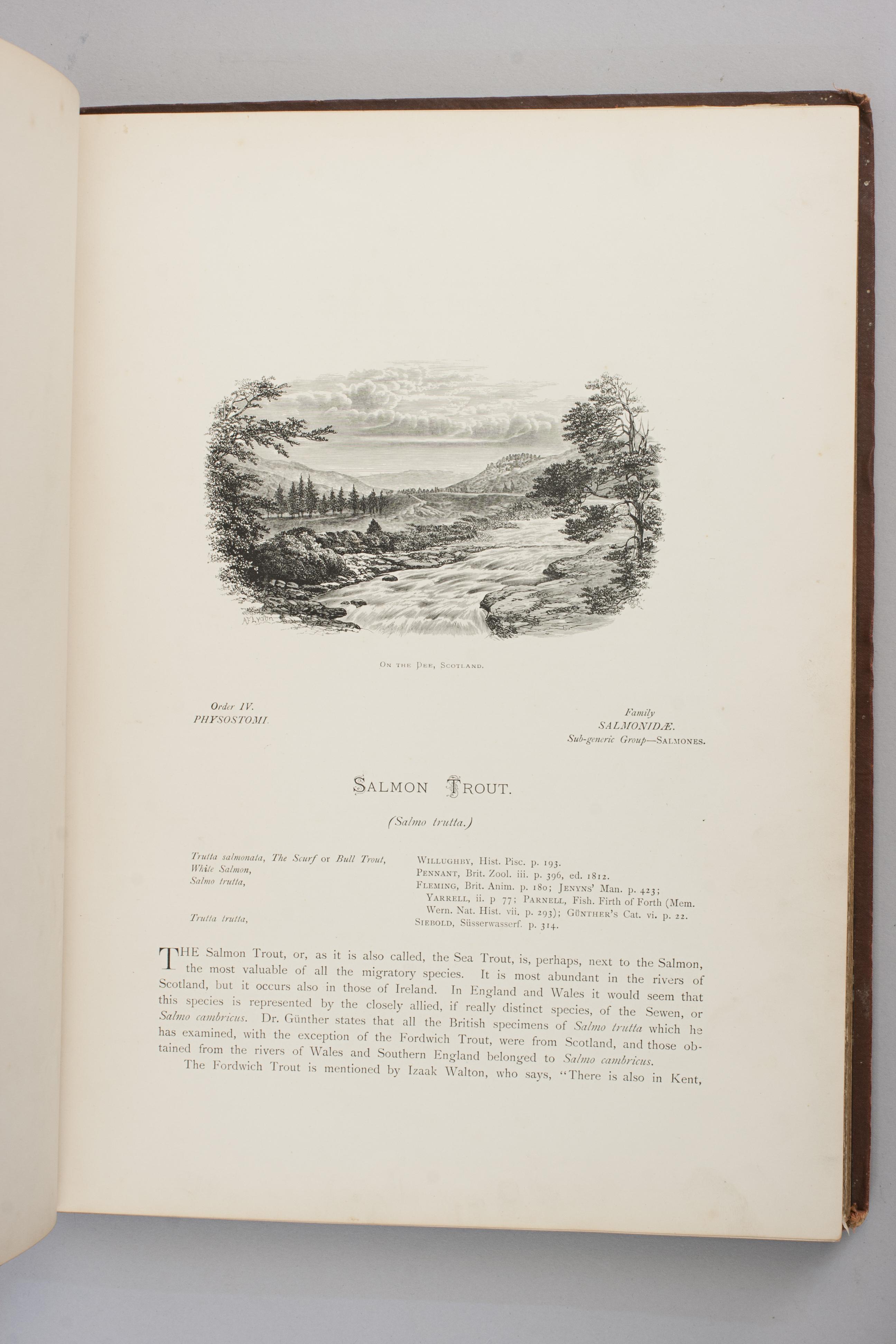 Fishing Book, British Fresh Water Fishes For Sale 1