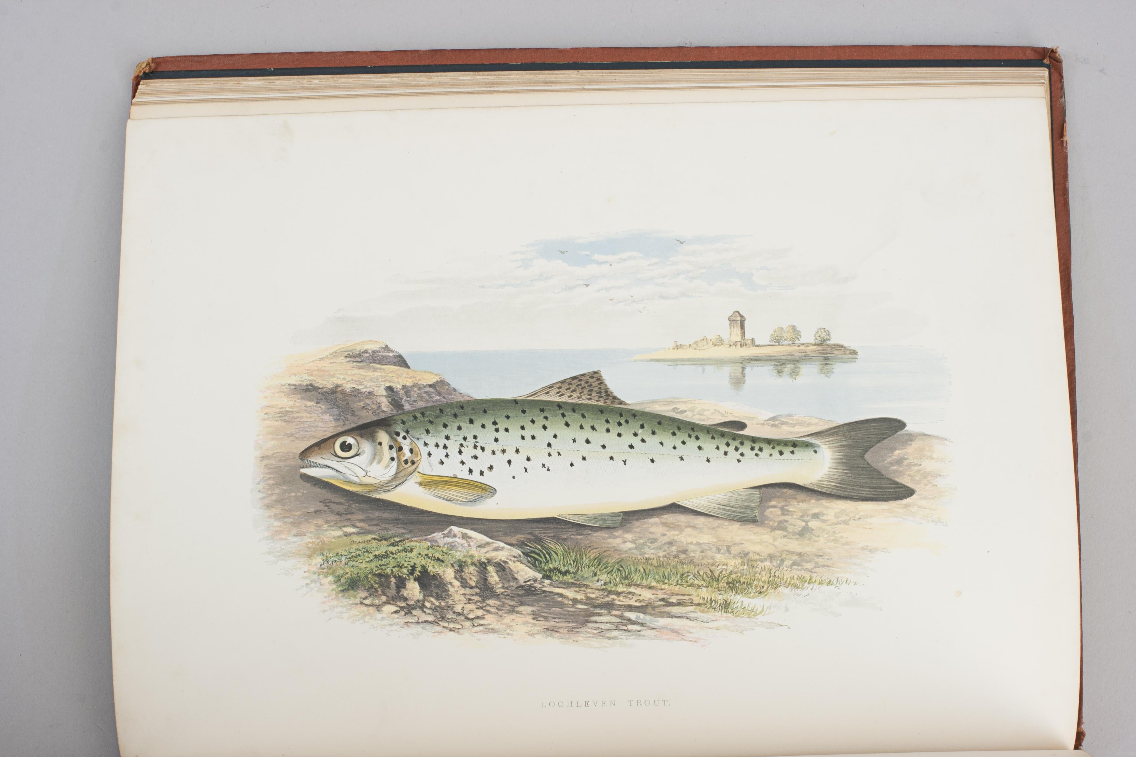 Fishing Book, British Fresh Water Fishes For Sale 3