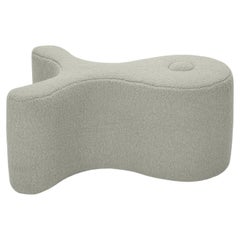 Fisk Grey Pouf By Simone Micheli