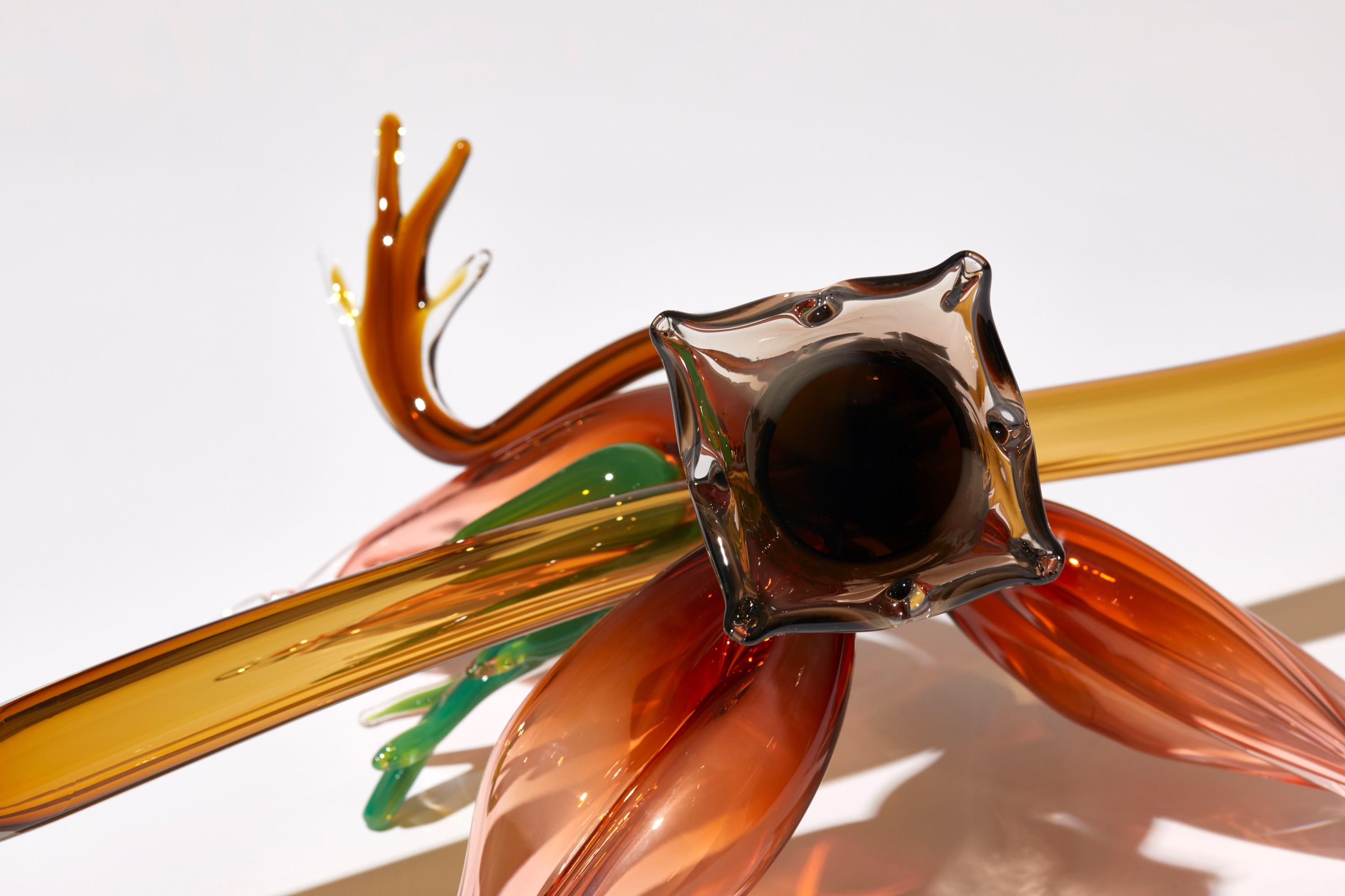 Fitchia Manga, botanical & floral handmade glass sculpture by Michèle Oberdieck 3