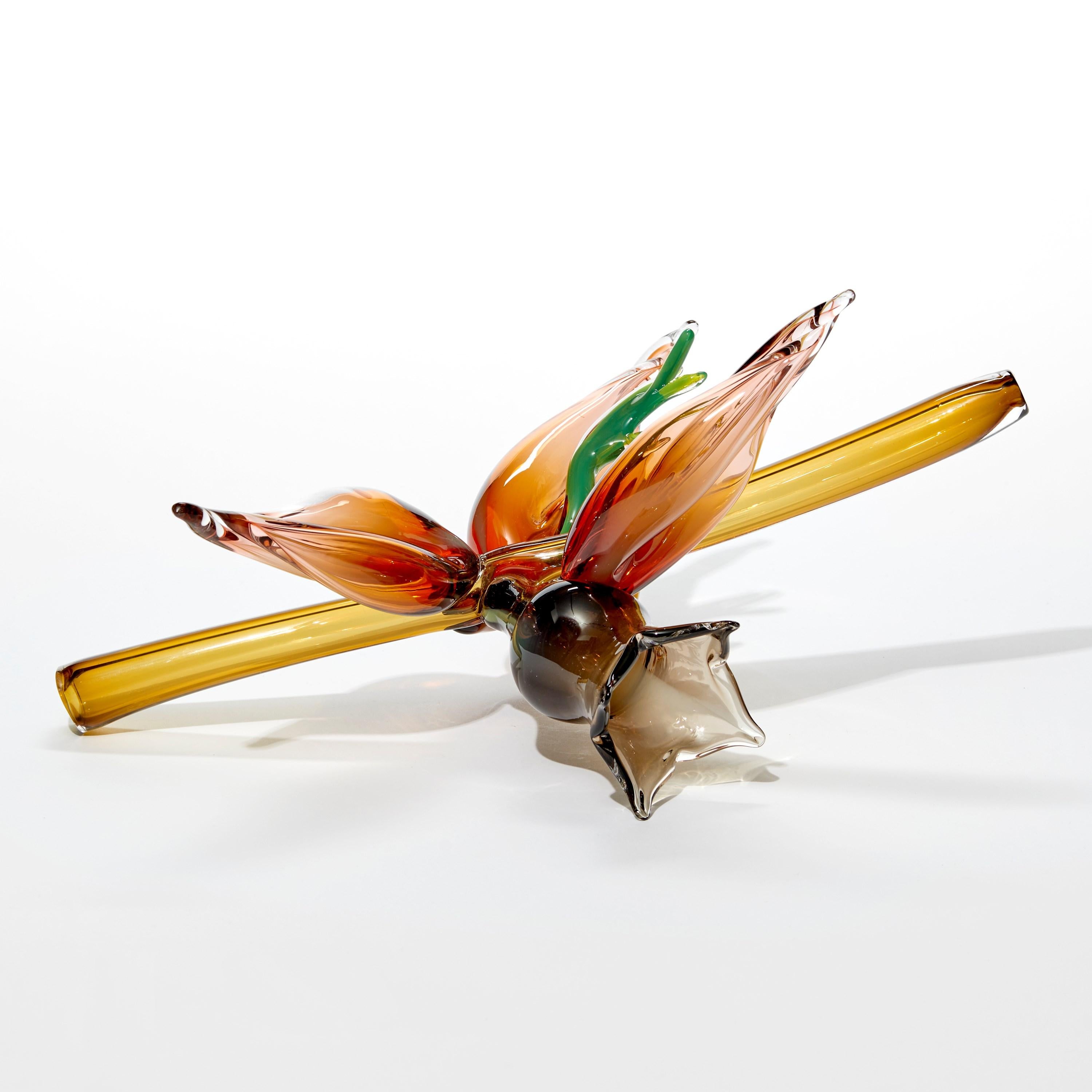 Organic Modern Fitchia Manga, botanical & floral handmade glass sculpture by Michèle Oberdieck