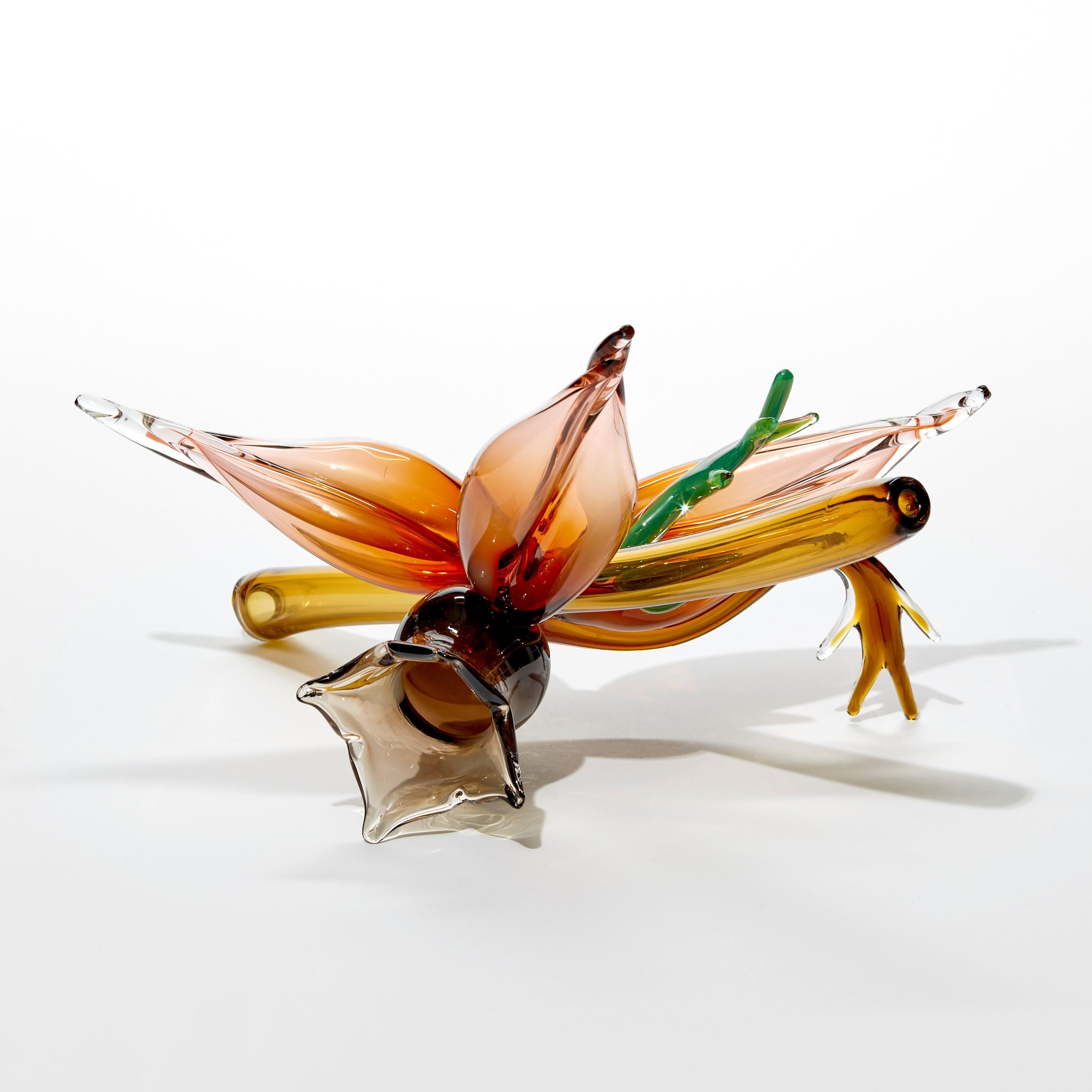 British Fitchia Manga, botanical & floral handmade glass sculpture by Michèle Oberdieck