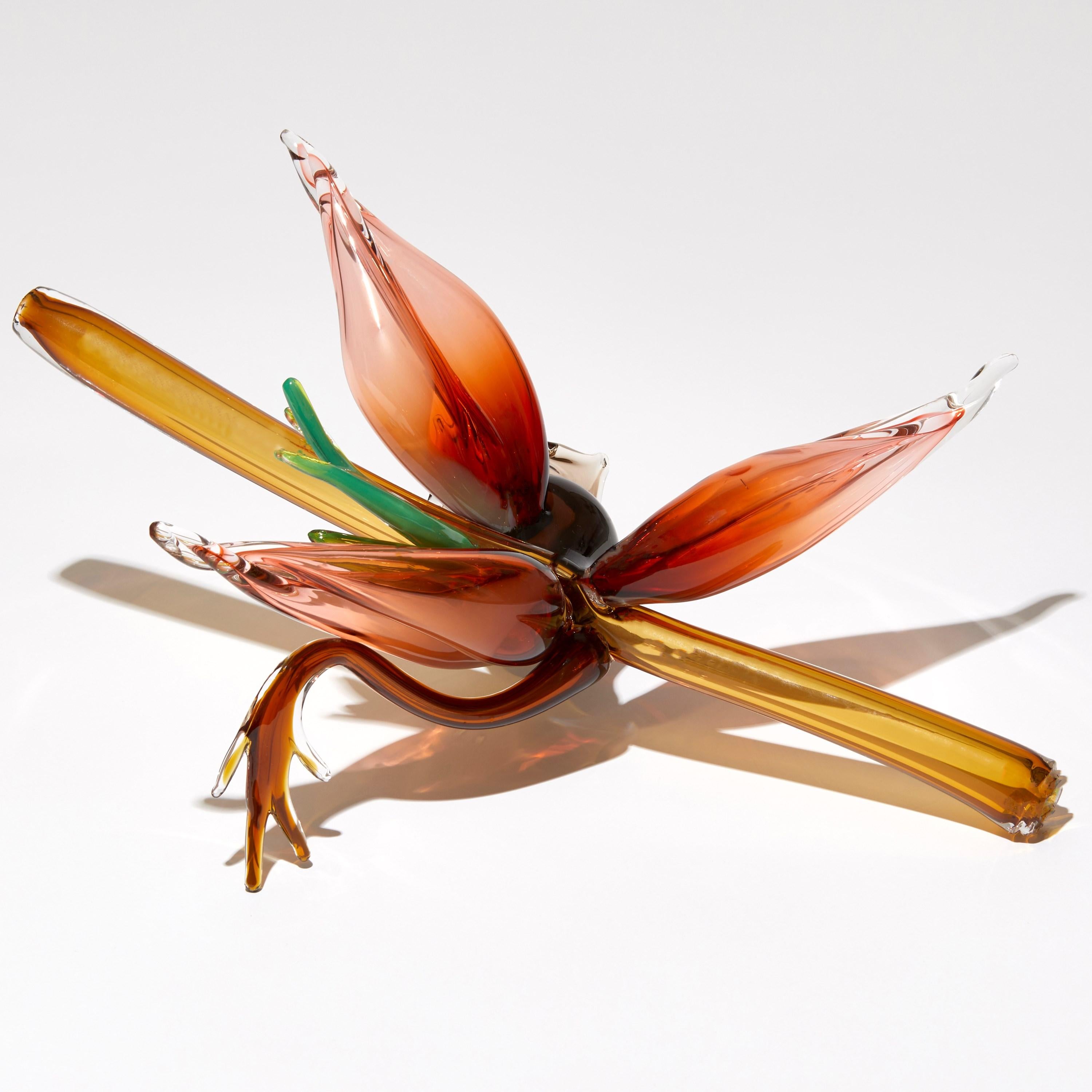Fitchia Manga, botanical & floral handmade glass sculpture by Michèle Oberdieck In New Condition In London, GB