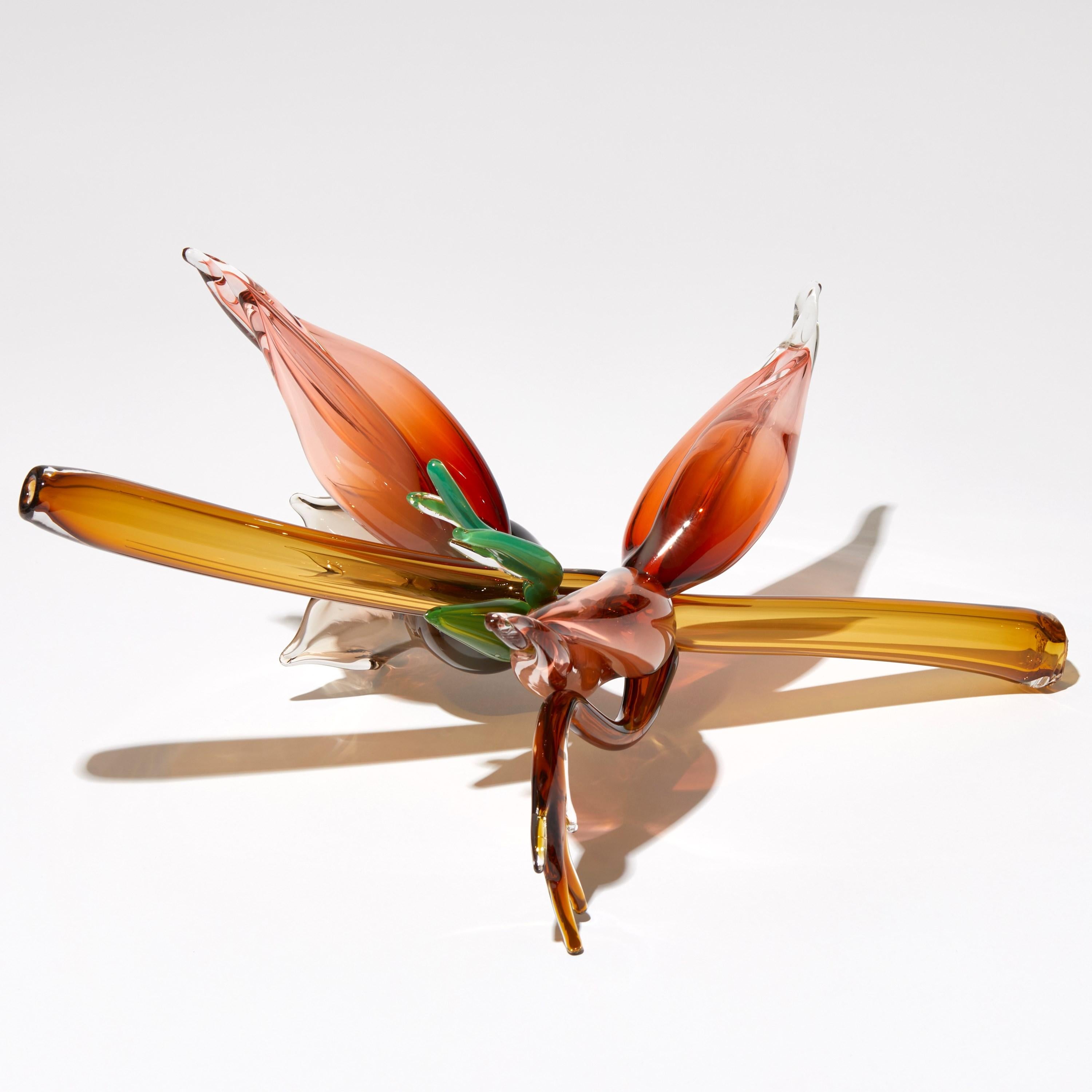 Glass Fitchia Manga, botanical & floral handmade glass sculpture by Michèle Oberdieck