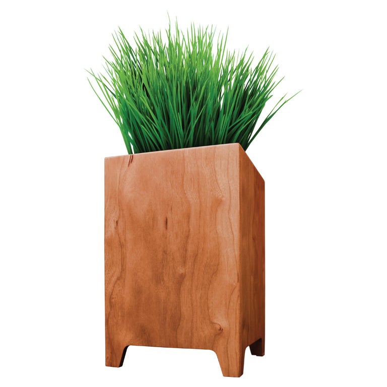 Fitzgerald Indoor Planter Cherry For Sale at 1stDibs