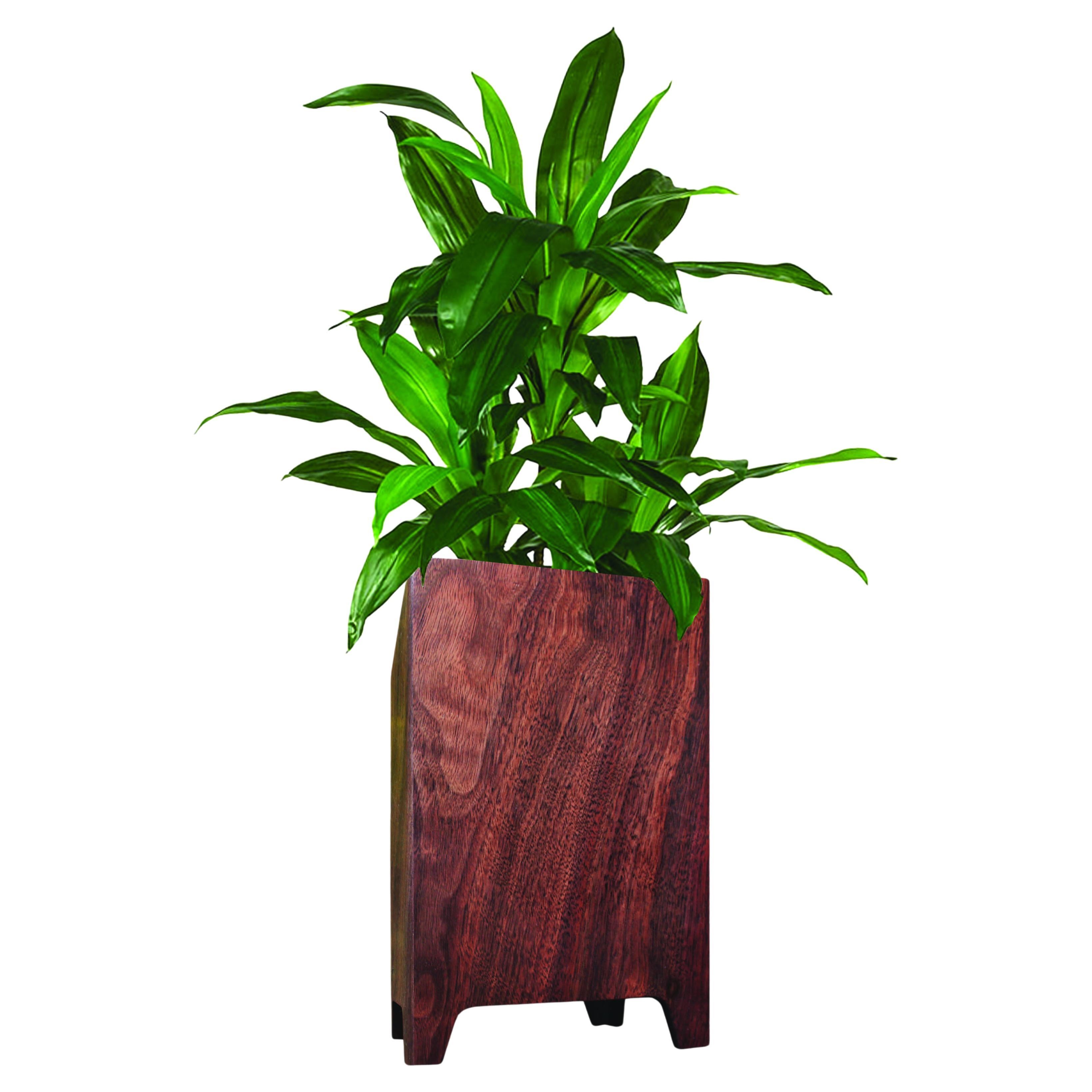 Fitzgerald Indoor Planter Walnut