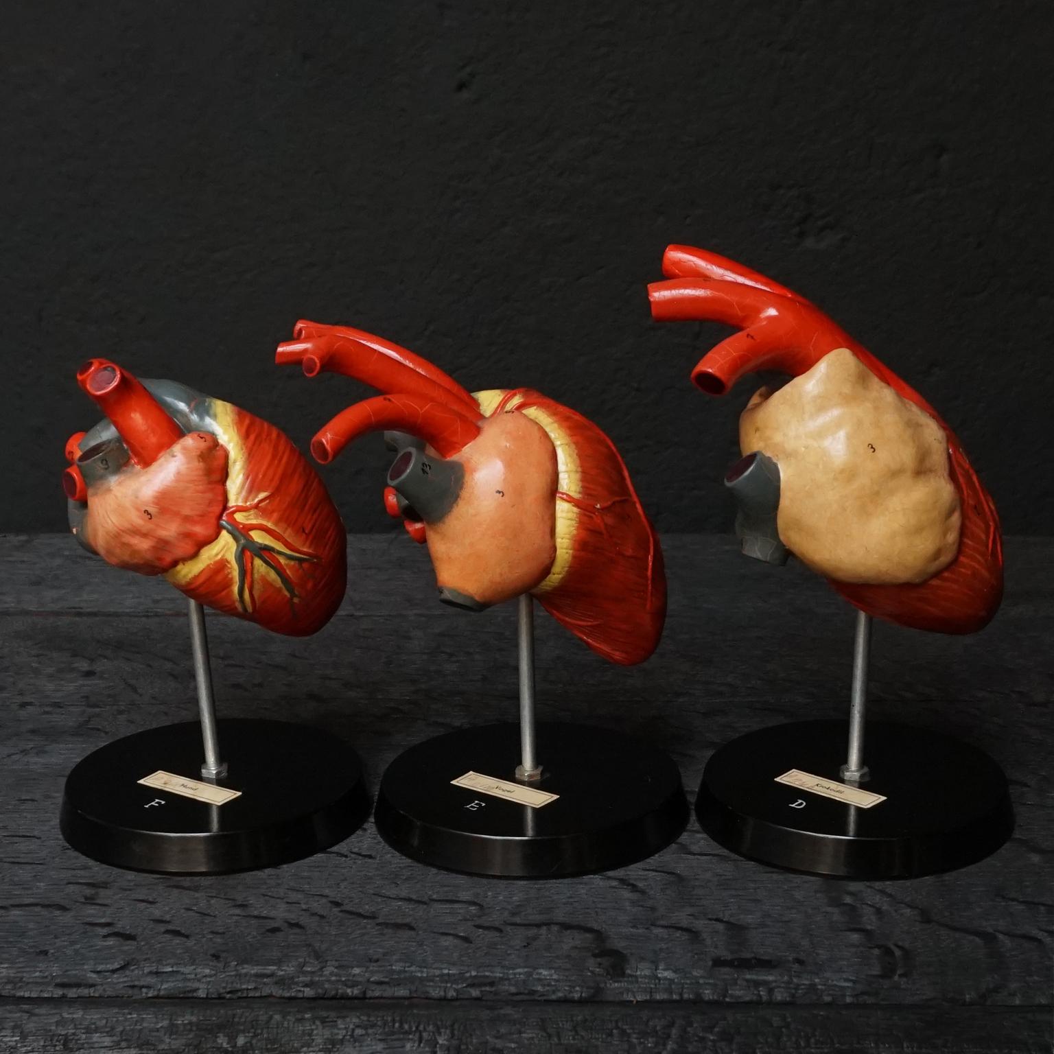 animal hearts for sale