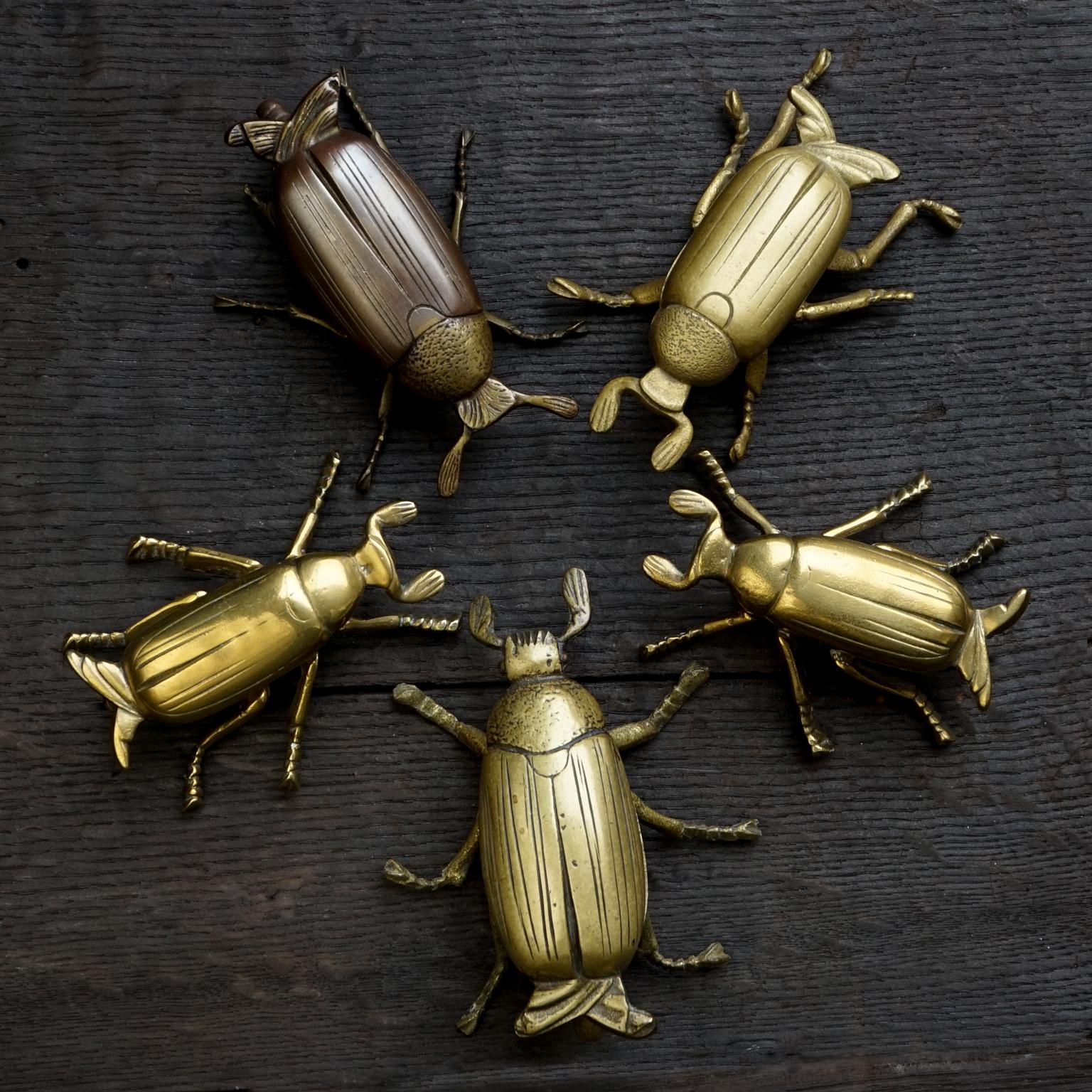 Collection of five vintage mid-century crawly critters in brass.
These cute little beetles where probably originally used as ashtray, now all clean and shiny to decorate a corner in your home or to adorn a stack of books.

All hinges of these