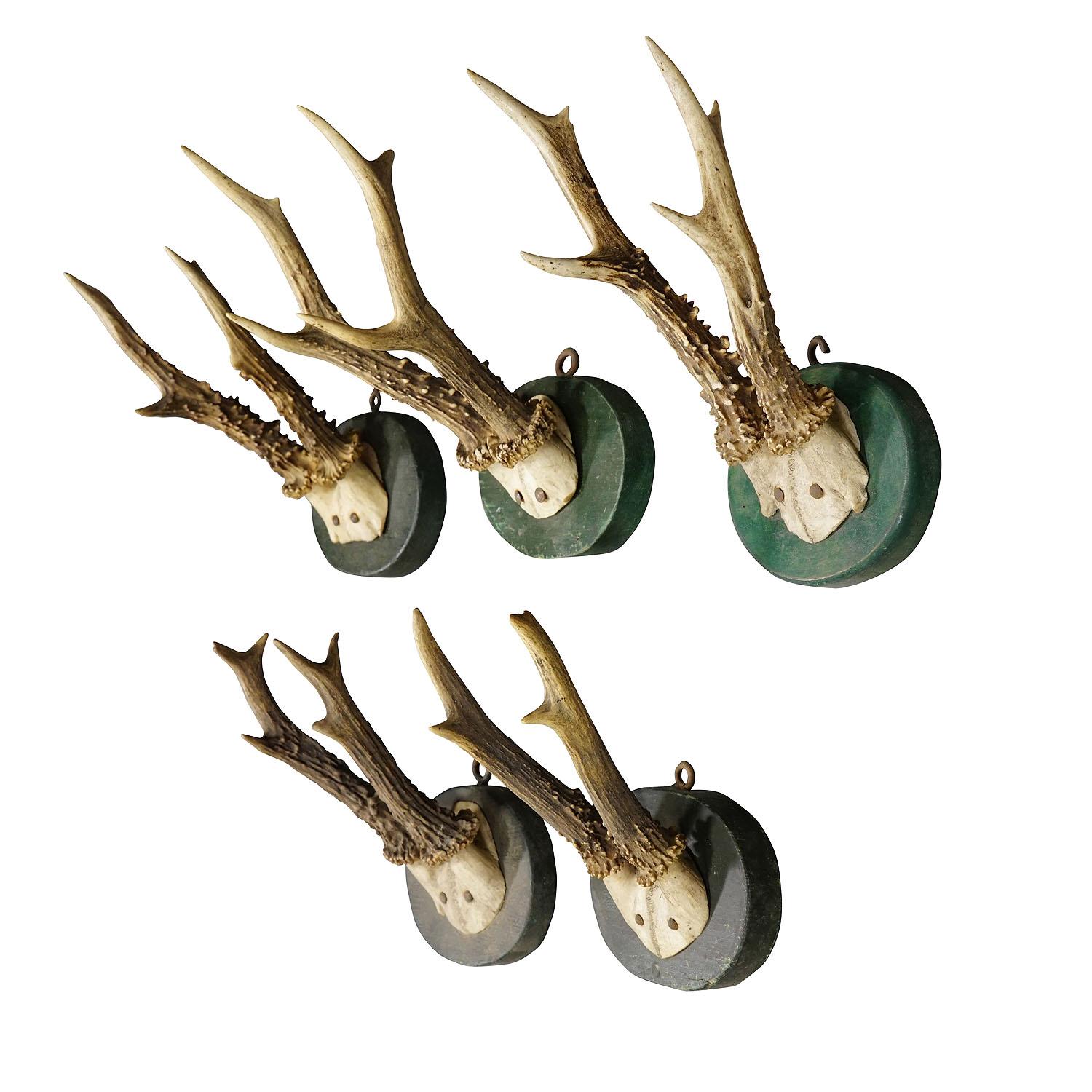 Five Antique Black Forest Deer Trophies on Wooden Plaques 1880s

A set of five antique Black Forest roe deer (Capreolus capreolus) trophies mounted on turned wooden plaques with a dark green finish. The trophies were shot in Germany in the 1880s.