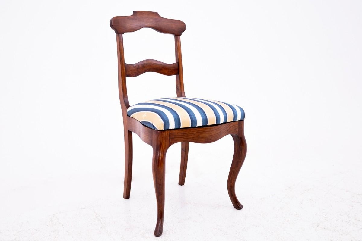 Five antique chairs, Northern Europe, around 1890. After renovation. In Good Condition For Sale In Chorzów, PL
