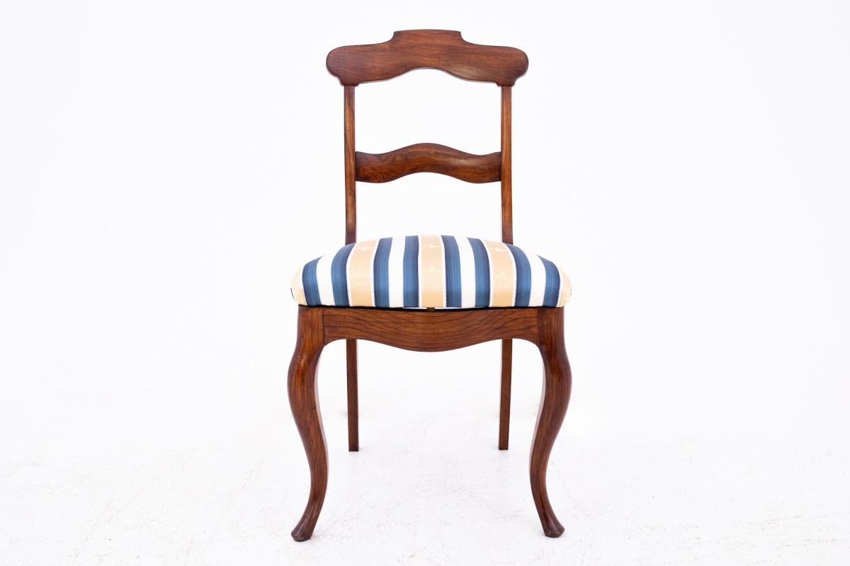 Walnut Five antique chairs, Northern Europe, around 1890. After renovation. For Sale