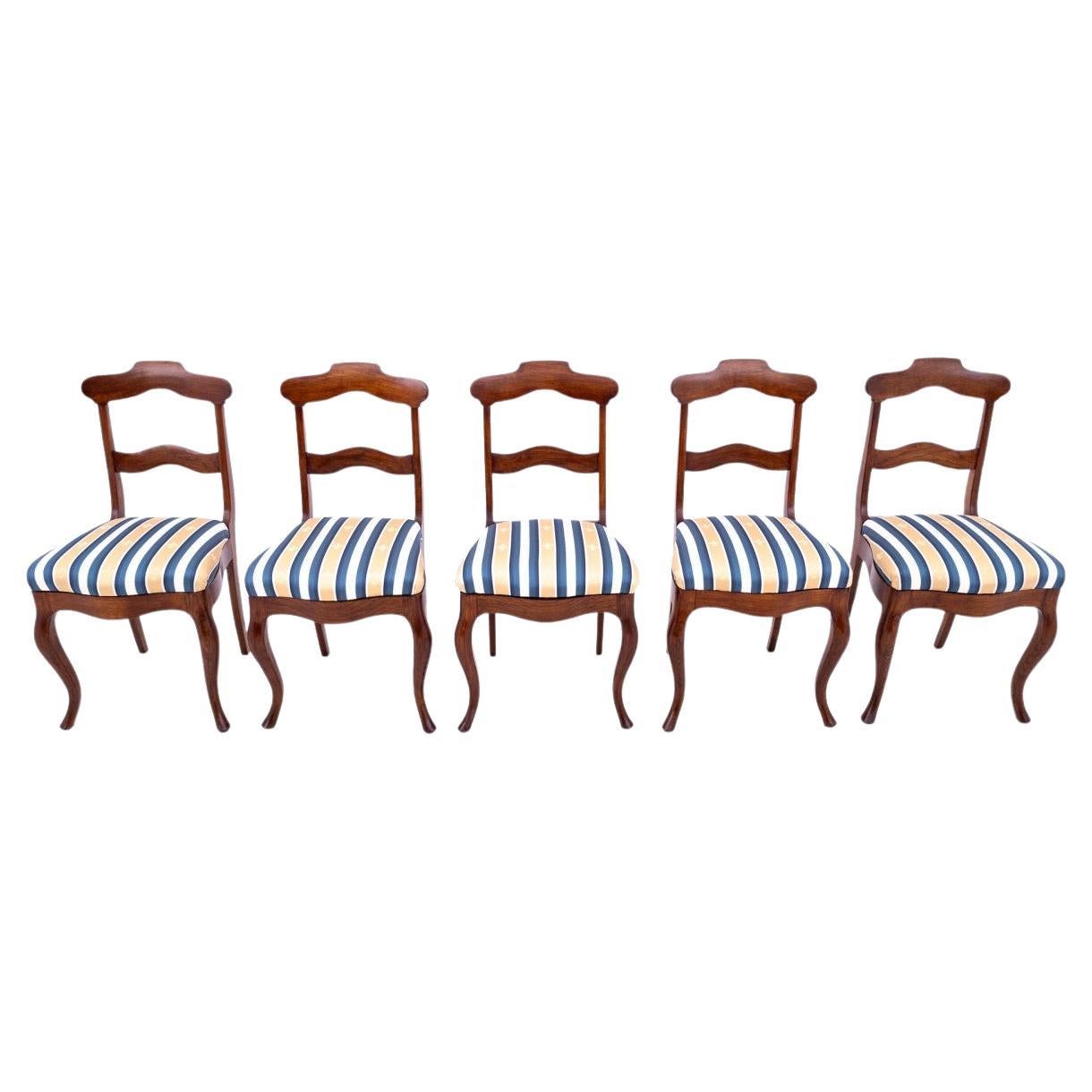 Five antique chairs, Northern Europe, around 1890. After renovation. For Sale