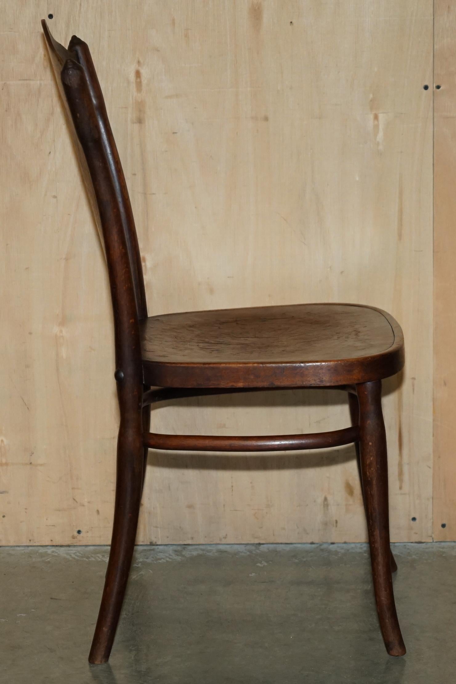 FiVE ANTIQUE JACOB & JOESEF KOHN CIRCA 1850 THONET BENTWOOD CHERUB DINING CHAIRS in vendita 4