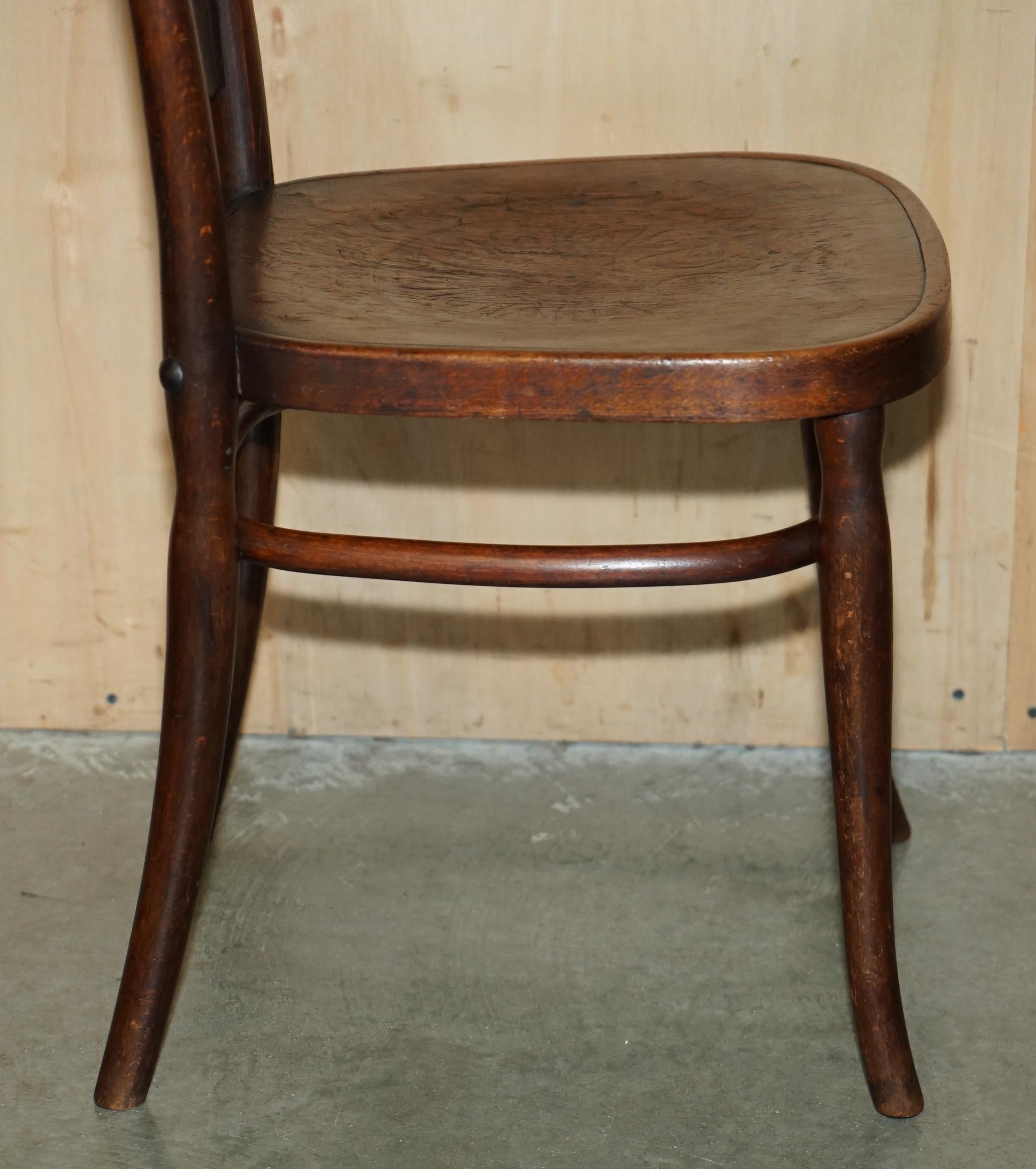FiVE ANTIQUE JACOB & JOESEF KOHN CIRCA 1850 THONET BENTWOOD CHERUB DINING CHAIRS in vendita 5