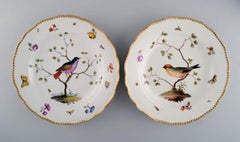 Five Antique Meissen Dinner Plates in Hand Painted Porcelain with Birds
