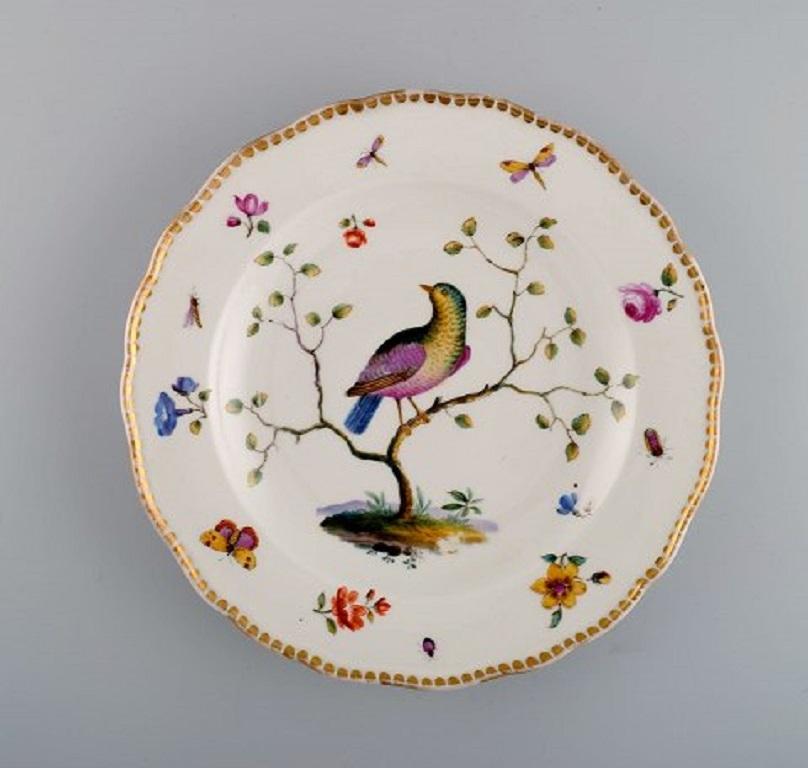 German Five Antique Meissen Dinner Plates in Hand Painted Porcelain with Birds
