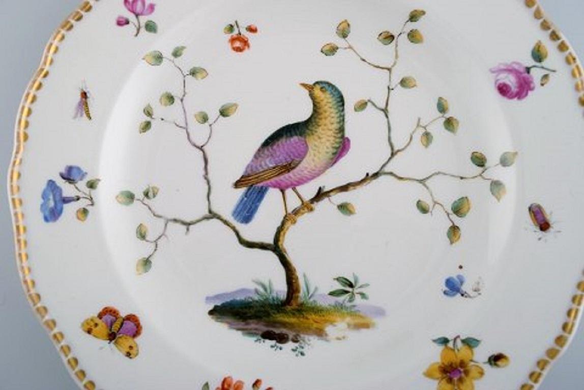 Hand-Painted Five Antique Meissen Dinner Plates in Hand Painted Porcelain with Birds