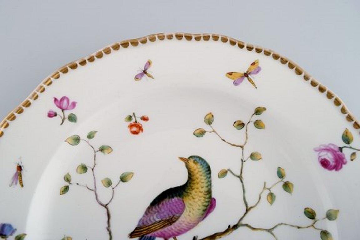 Five Antique Meissen Dinner Plates in Hand Painted Porcelain with Birds In Excellent Condition In Copenhagen, DK