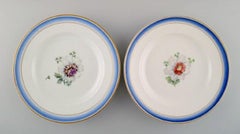 Five Antique Royal Copenhagen Plates in Hand Painted Porcelain with Flowers