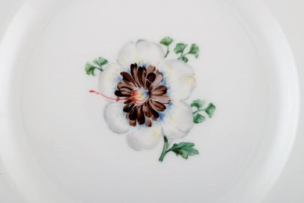Five Antique Royal Copenhagen Plates in Hand Painted Porcelain with Flowers For Sale 1