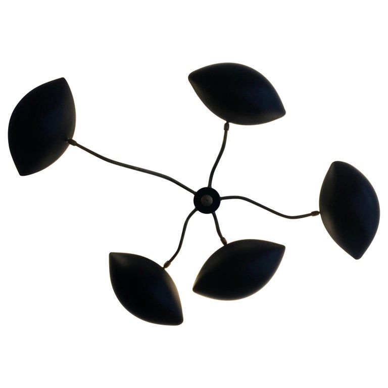 Antique And Vintage Chandeliers Pendants 36 617 For At Antique And Vintage Chandeliers