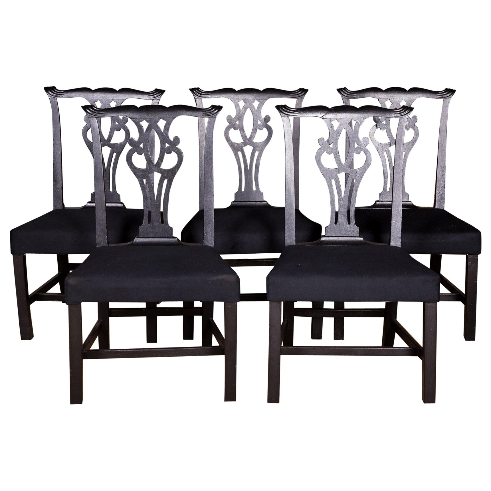 Five Beautiful Chairs in antique Regency Style black