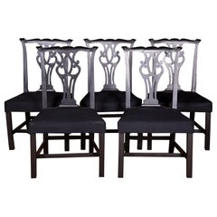 Five Beautiful Chairs in antique Regency Style black