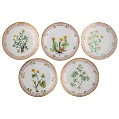 Five Bing 
Grøndahl Porcelain Plates with Hand-Painted Flowers, 1920s/30s