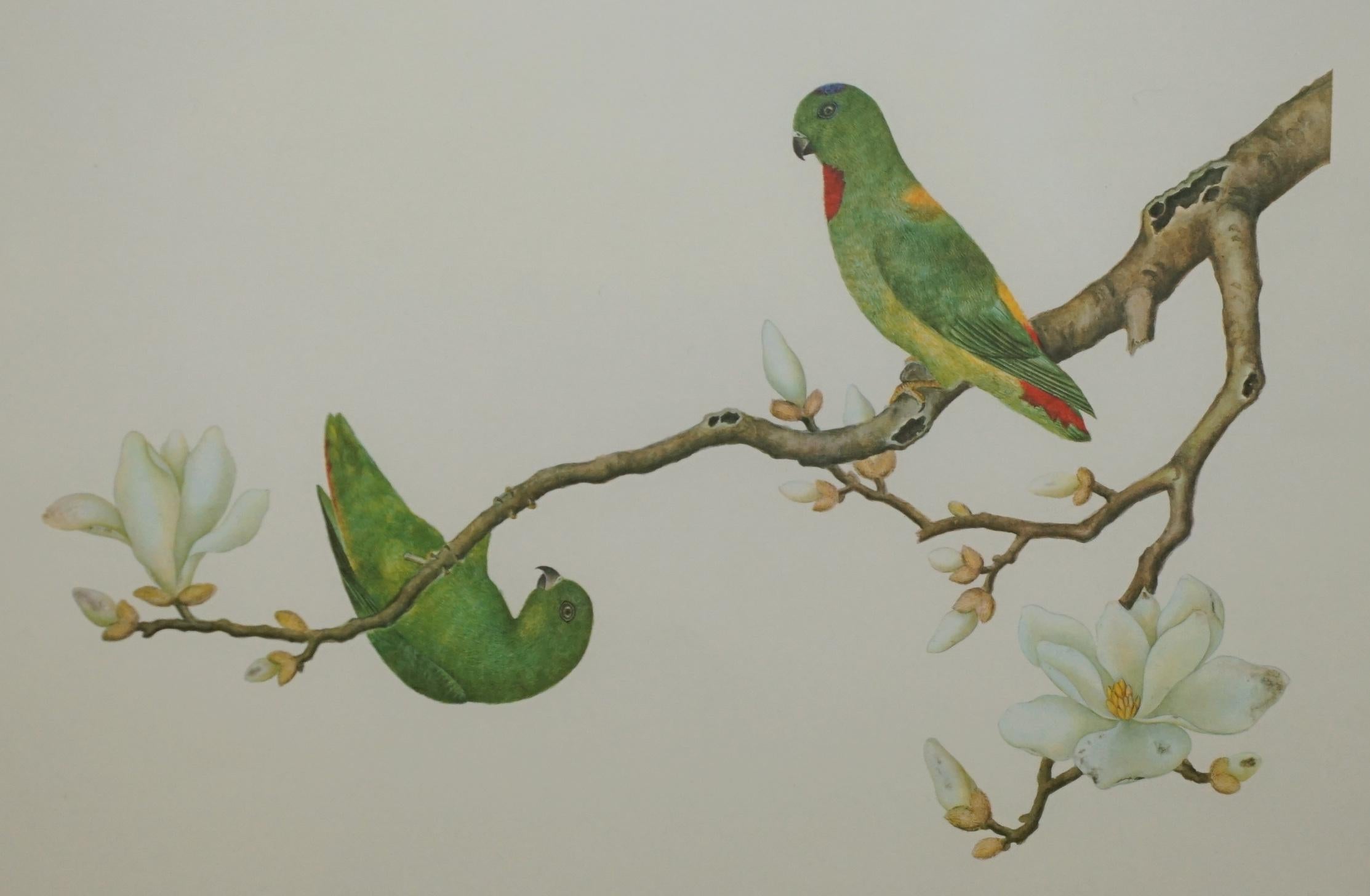 VIER CHINESISCHE CH'IEN LUNG PERIOD 1736-1796 WASSERKOLORIE VOGELBILDER GERAHMT im Angebot 3