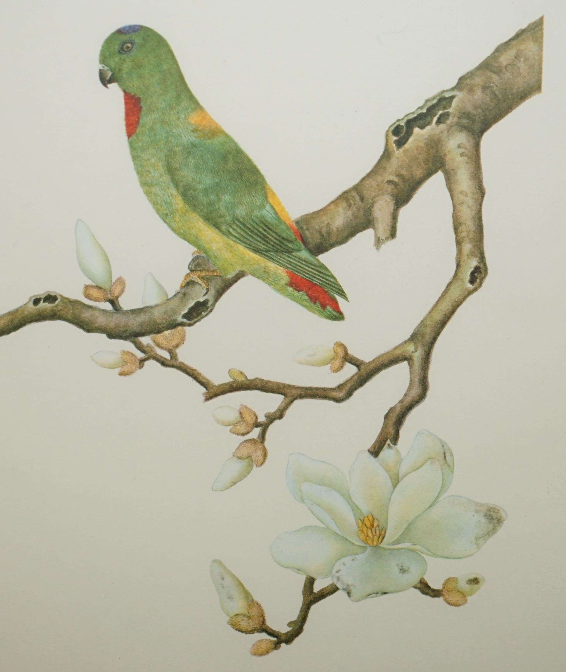 VIER CHINESISCHE CH'IEN LUNG PERIOD 1736-1796 WASSERKOLORIE VOGELBILDER GERAHMT im Angebot 4