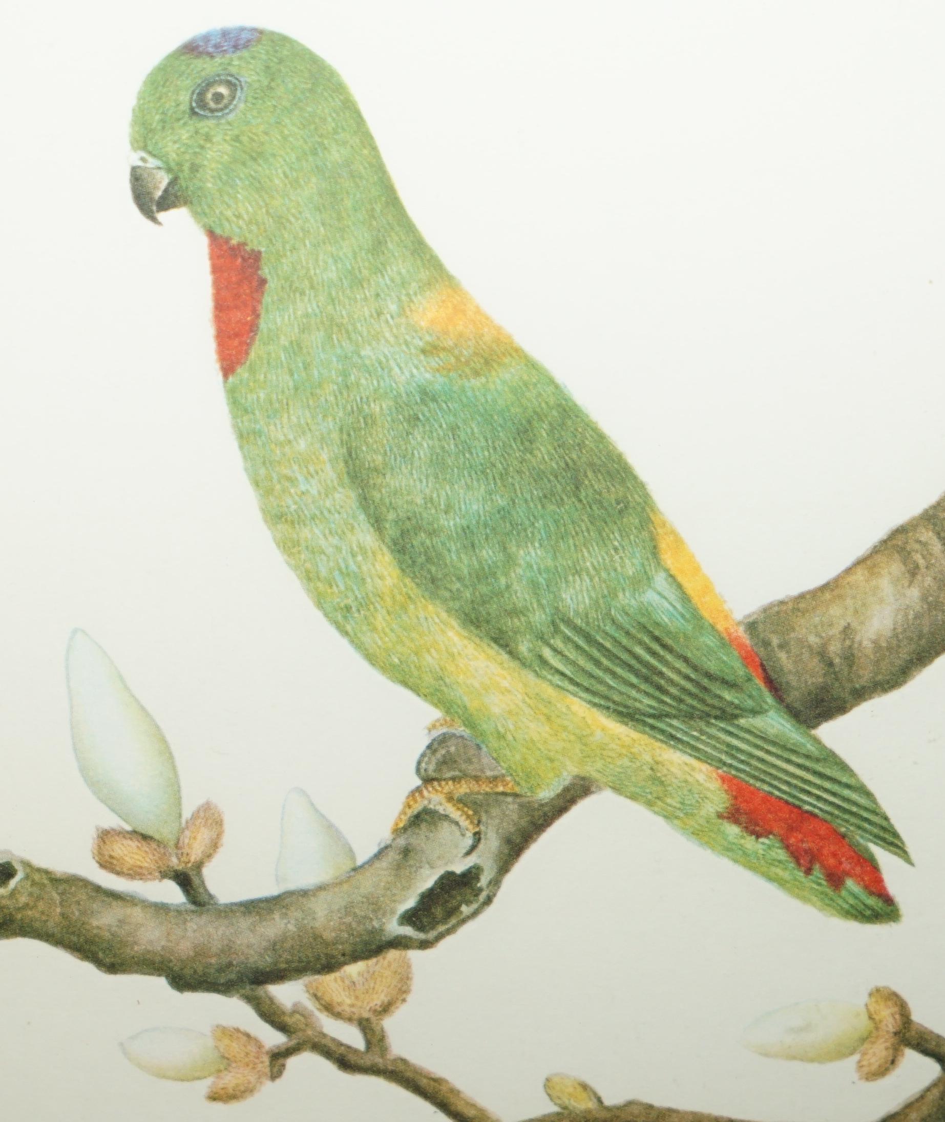 VIER CHINESISCHE CH'IEN LUNG PERIOD 1736-1796 WASSERKOLORIE VOGELBILDER GERAHMT im Angebot 6