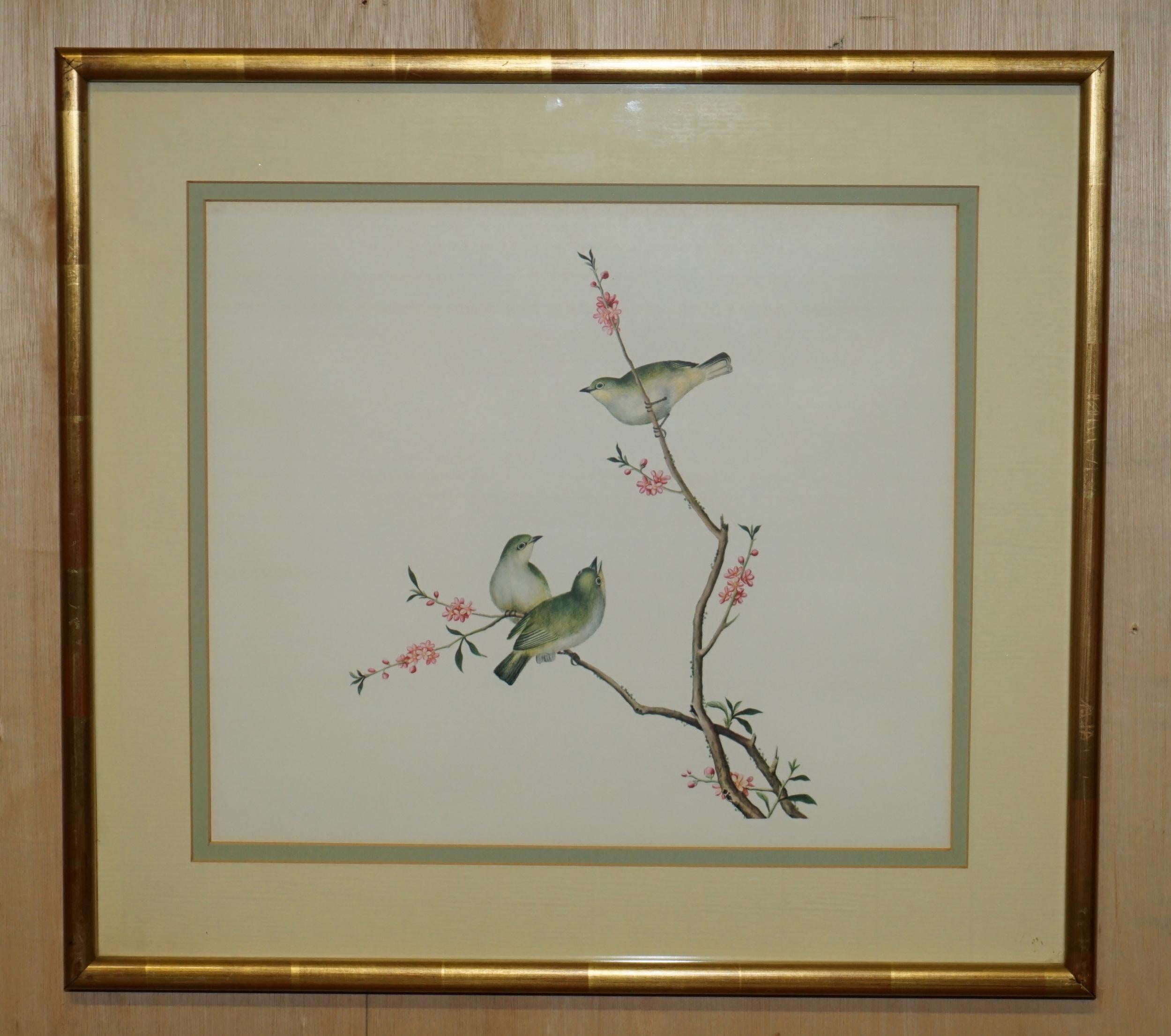 VIER CHINESISCHE CH'IEN LUNG PERIOD 1736-1796 WASSERKOLORIE VOGELBILDER GERAHMT im Angebot 11