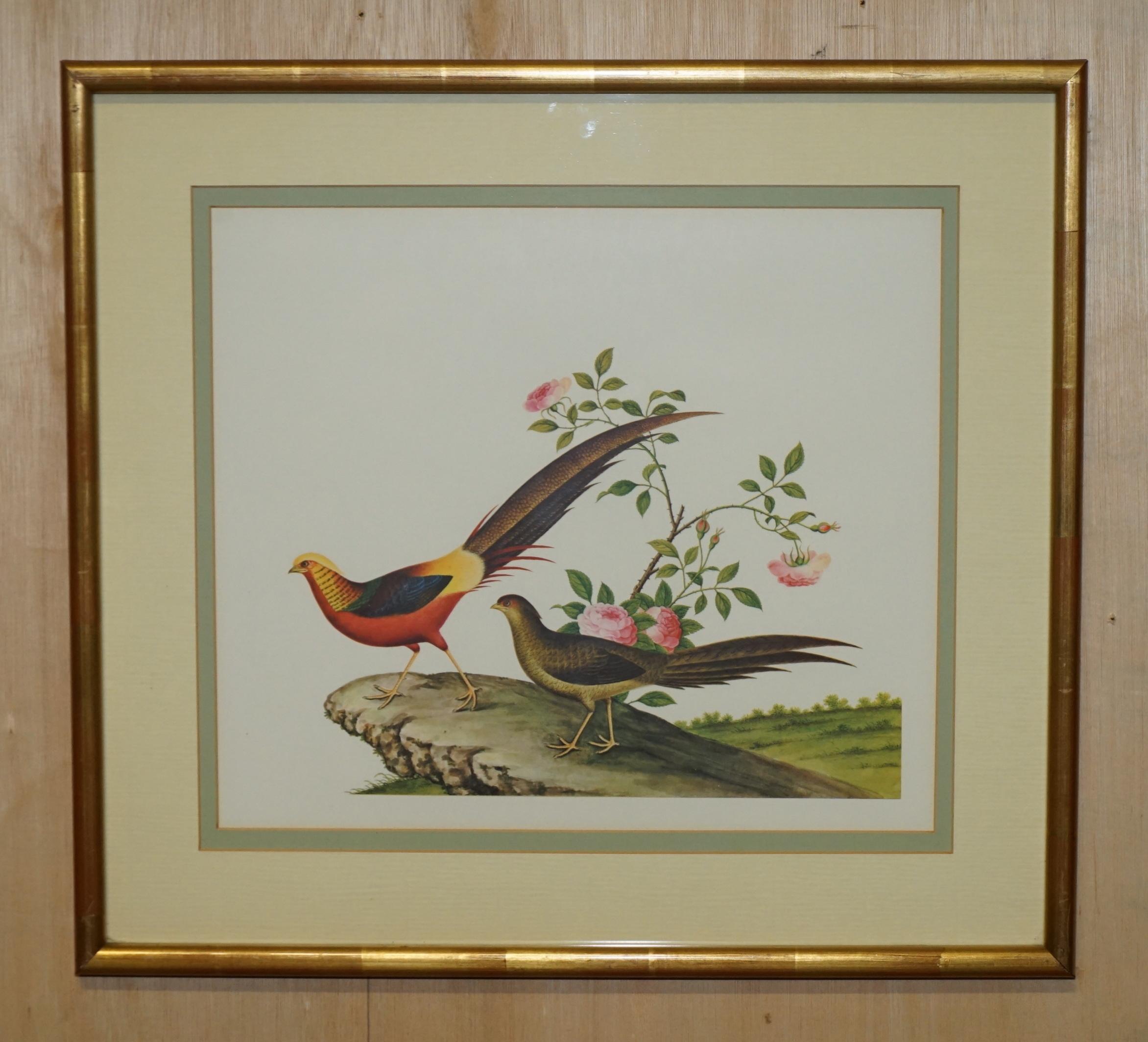 Royal House Antiques

Royal House Antiques freut sich, diese schöne Folge von fünf Original-Aquarellen aus der Ch'ien Lung-Periode (1736-1796), die 1967 veröffentlicht wurde, zum Verkauf anbieten zu können.

Diese Gemälde zeigen chinesische Vögel