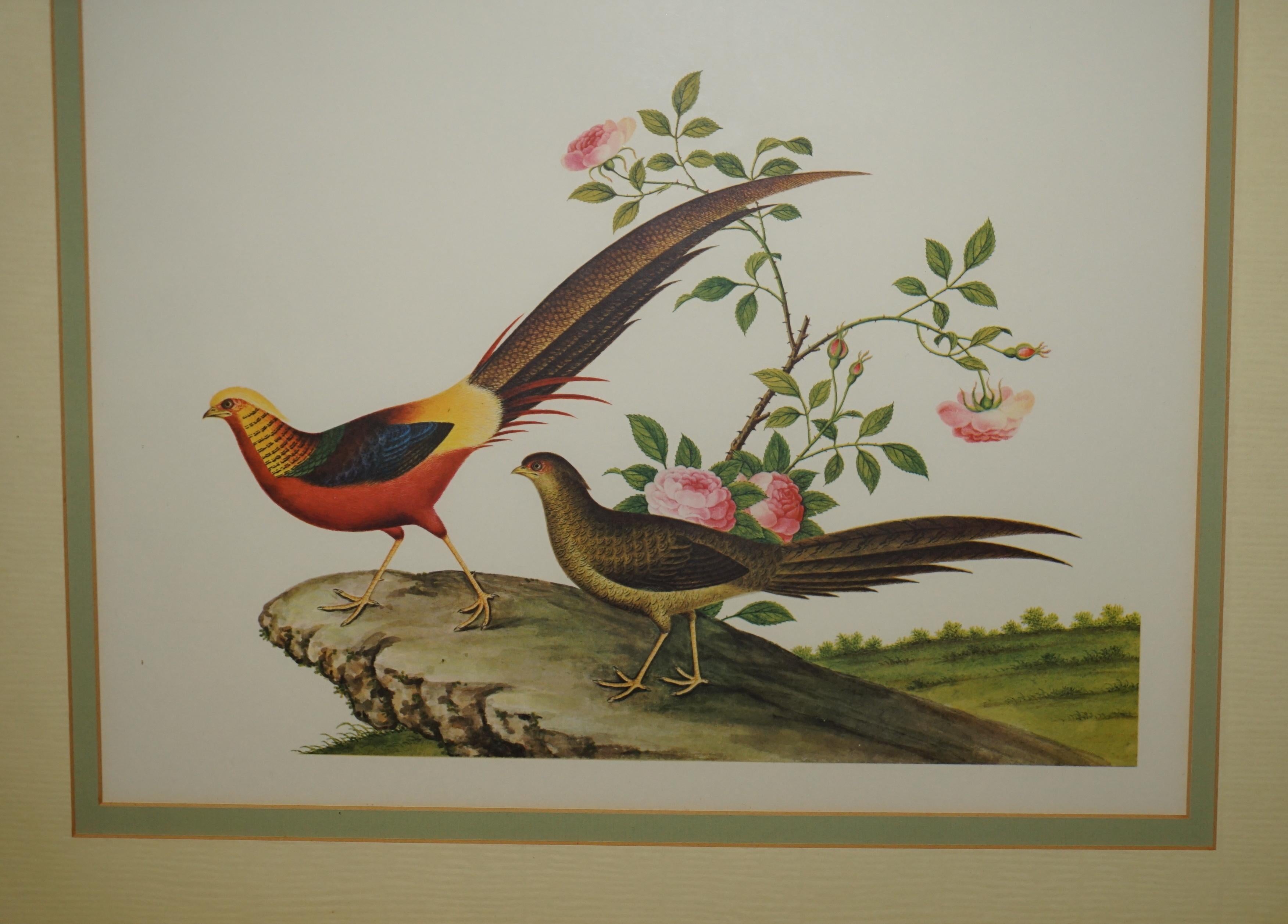 VIER CHINESISCHE CH'IEN LUNG PERIOD 1736-1796 WASSERKOLORIE VOGELBILDER GERAHMT (Chinesischer Export) im Angebot